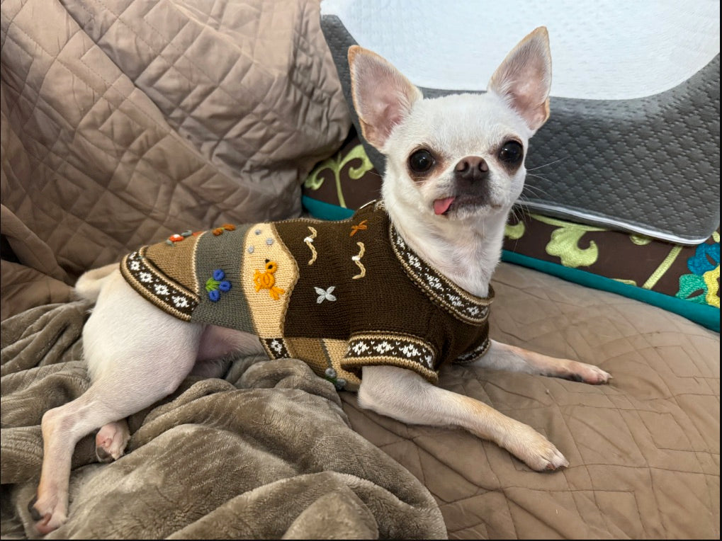 CAFE BROWN Handmade Peruvian Zip Up Dog Sweater (Sizes: X0-10)