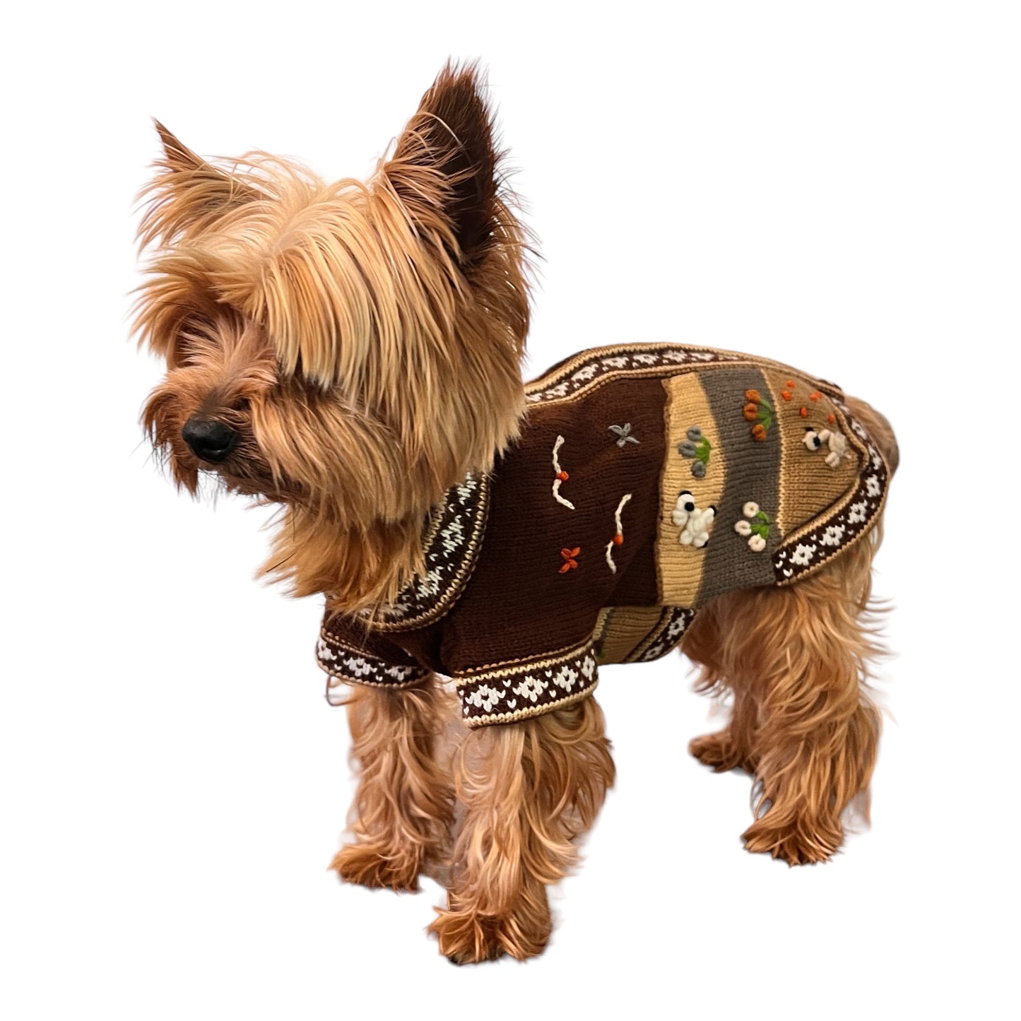 CAFE BROWN Handmade Peruvian Zip Up Dog Sweater (Sizes: X0-10)