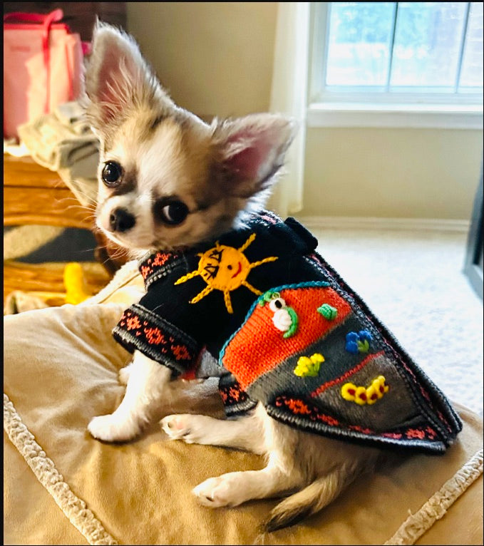 HARLEY COLOR Handmade Peruvian Dog Sweater All Sizes (XX0-14)