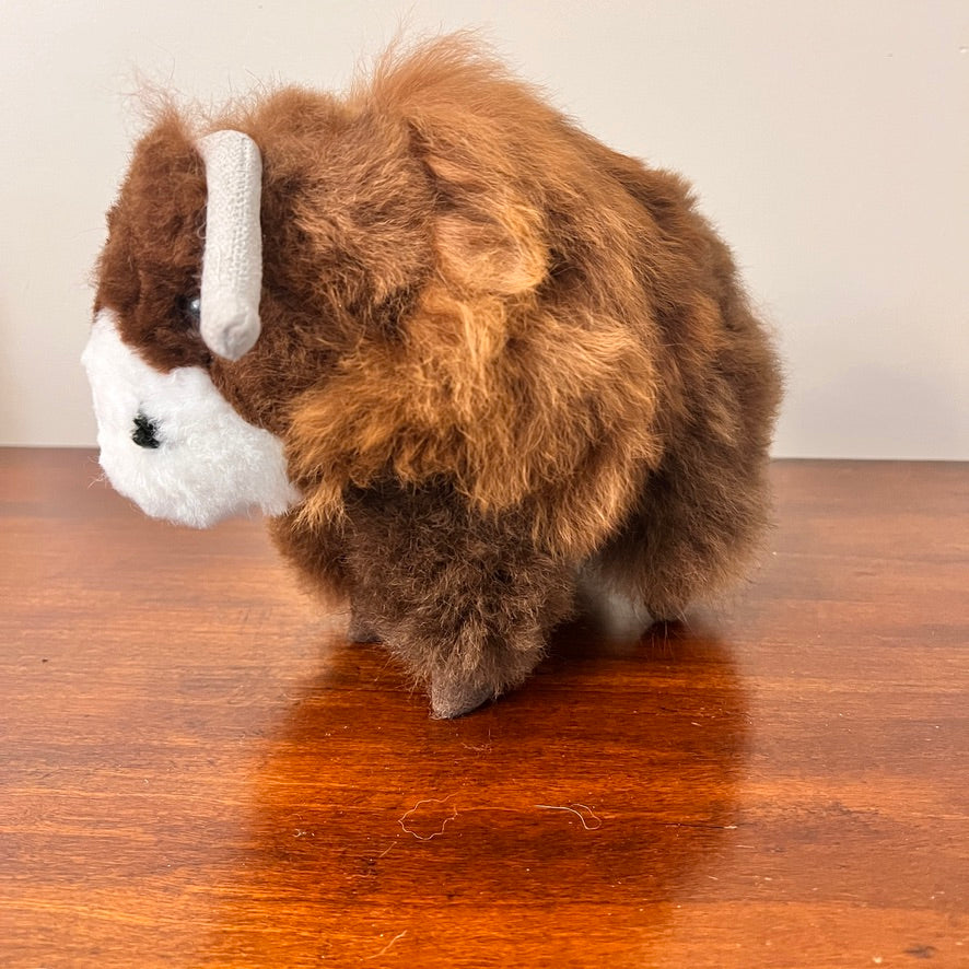 Large Buffalo