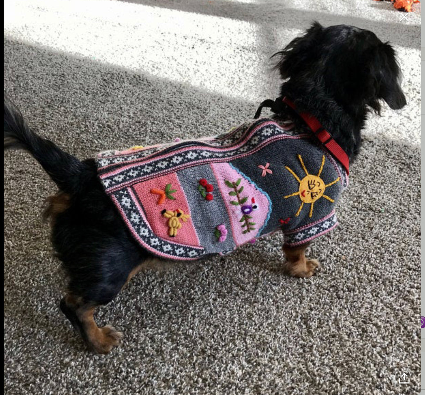 Gray and Pink Dog Sweater (SIZES XX0-14)
