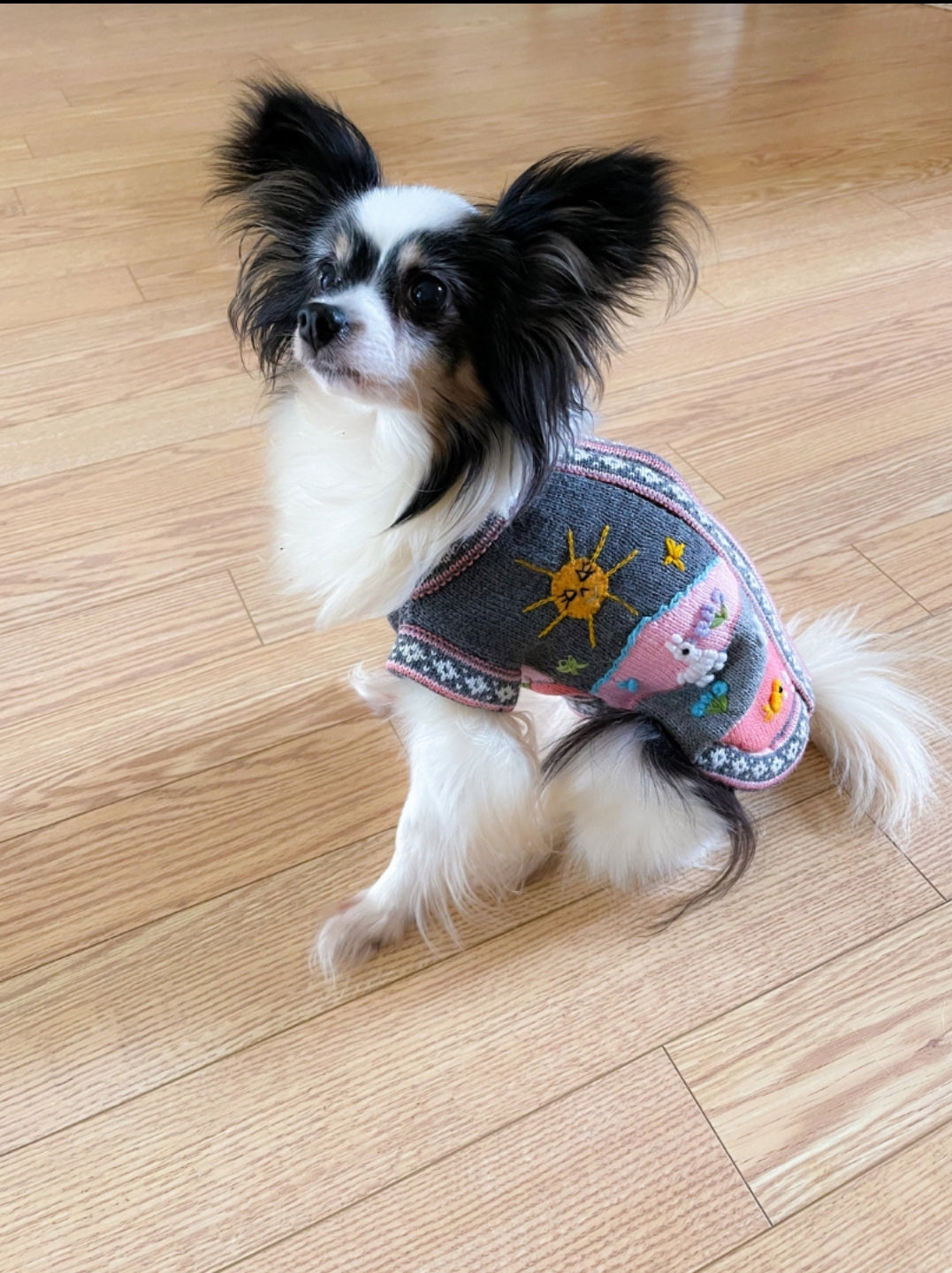 Gray and Pink Dog Sweater (SIZES XX0-14)
