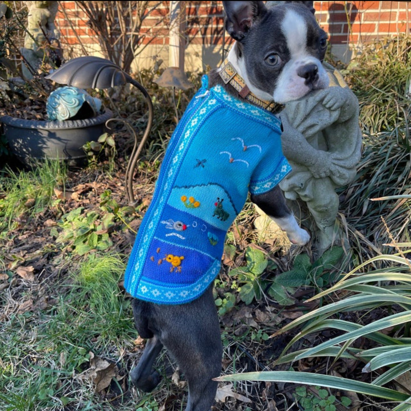 LIGHT BLUE zip up dog sweater. (sizes x0-8)