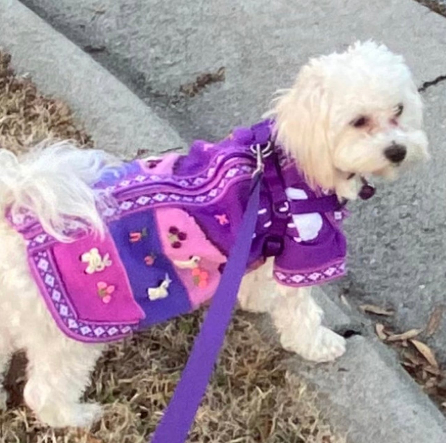 LAVENDER Handmade Peruvian Dog Sweater All Sizes (X0-14)