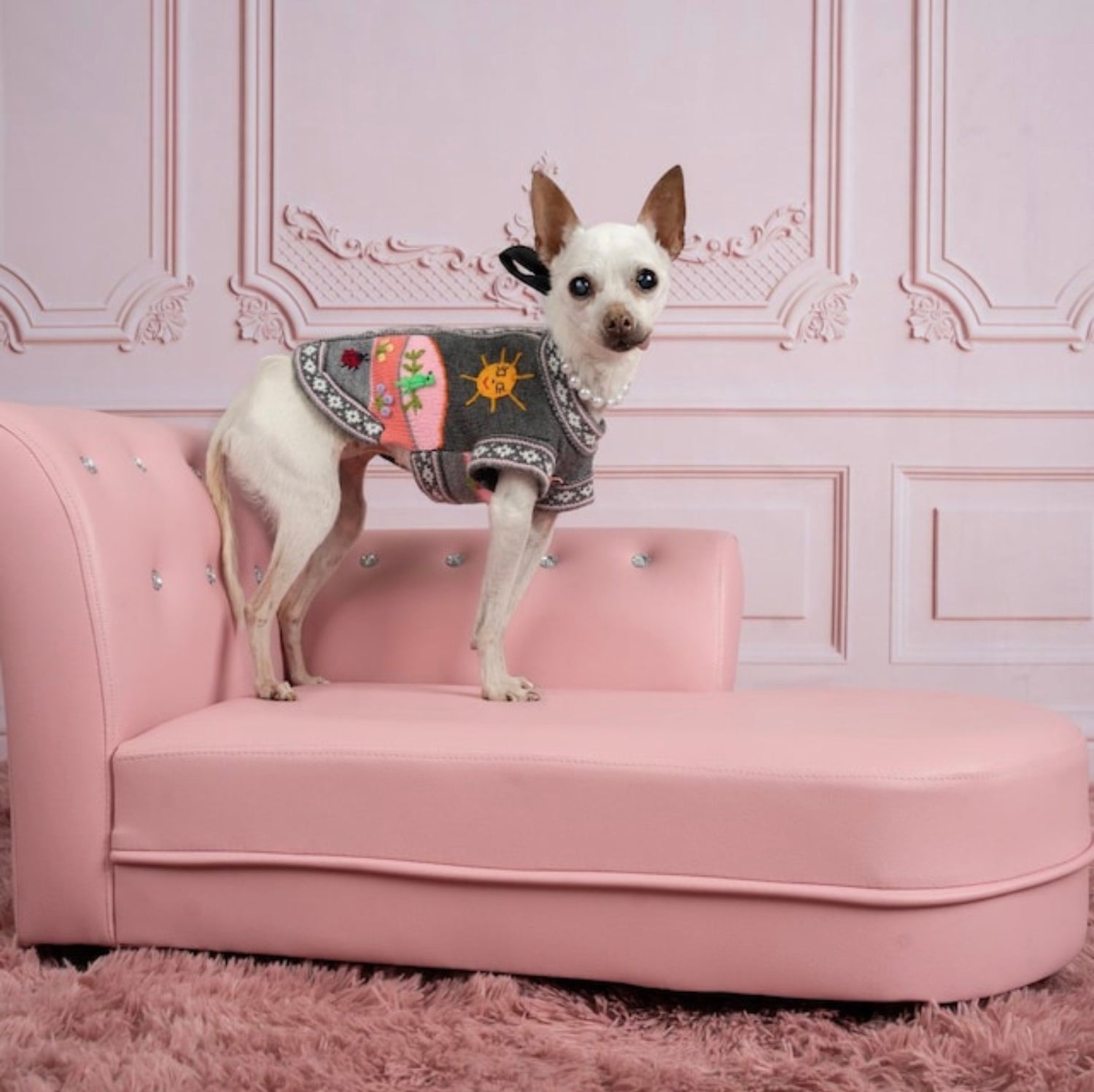 Gray and pink size X0 dog sweater