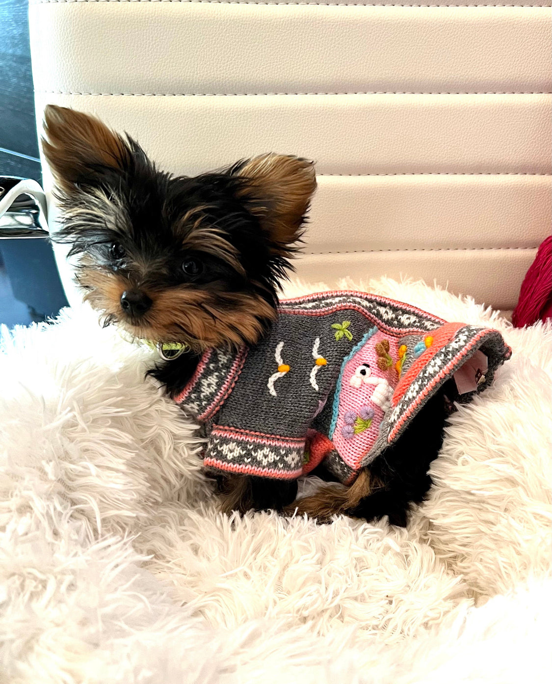Gray and Pink Dog Sweater (SIZES XX0-14)