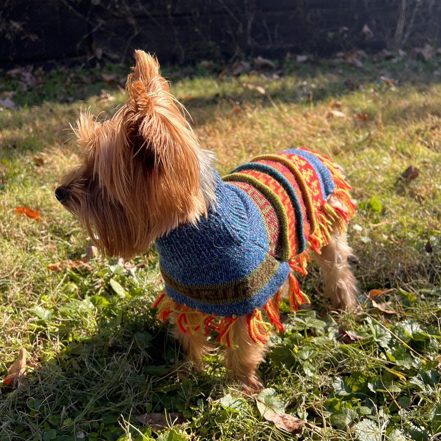 Alpaca dog poncho by Peruvian Accent