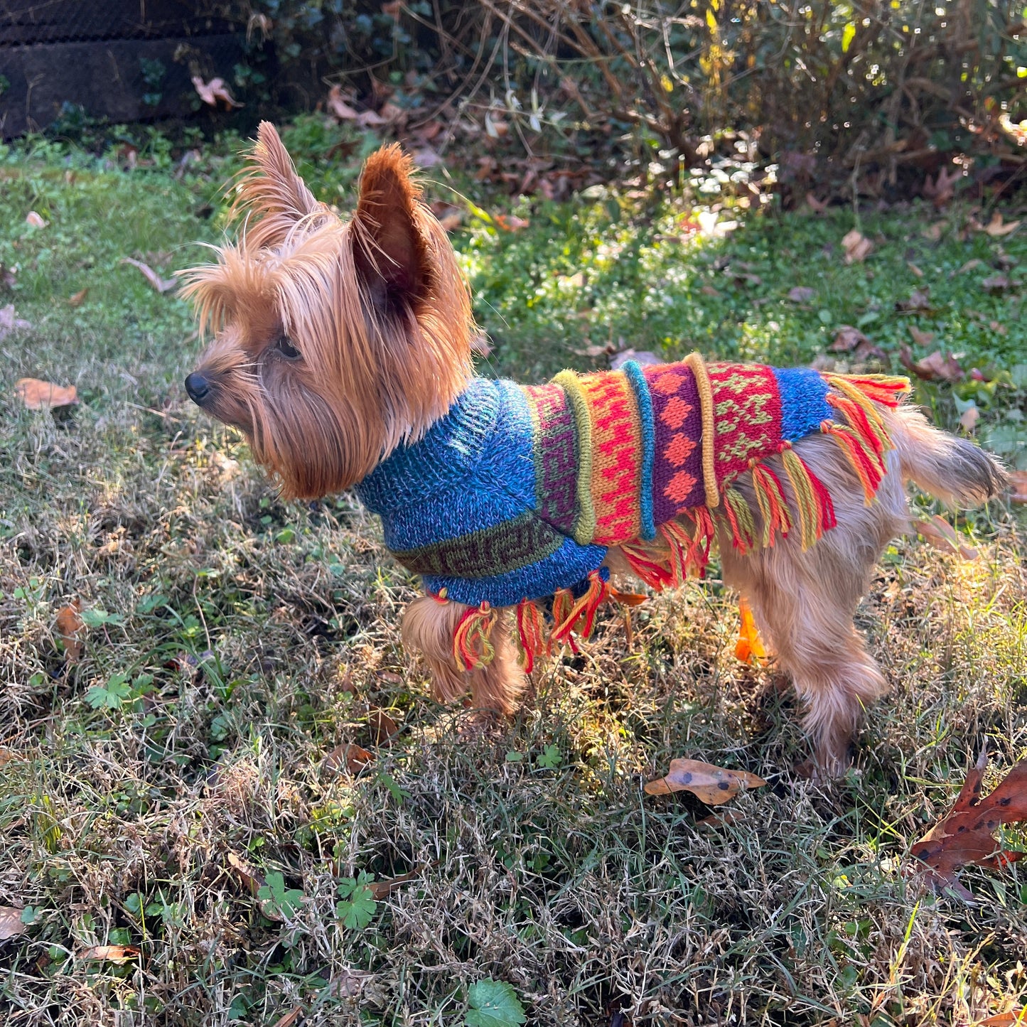Handmade BLUE PURPLE TWEED Alpaca Dog Poncho SIZE XX0-20
