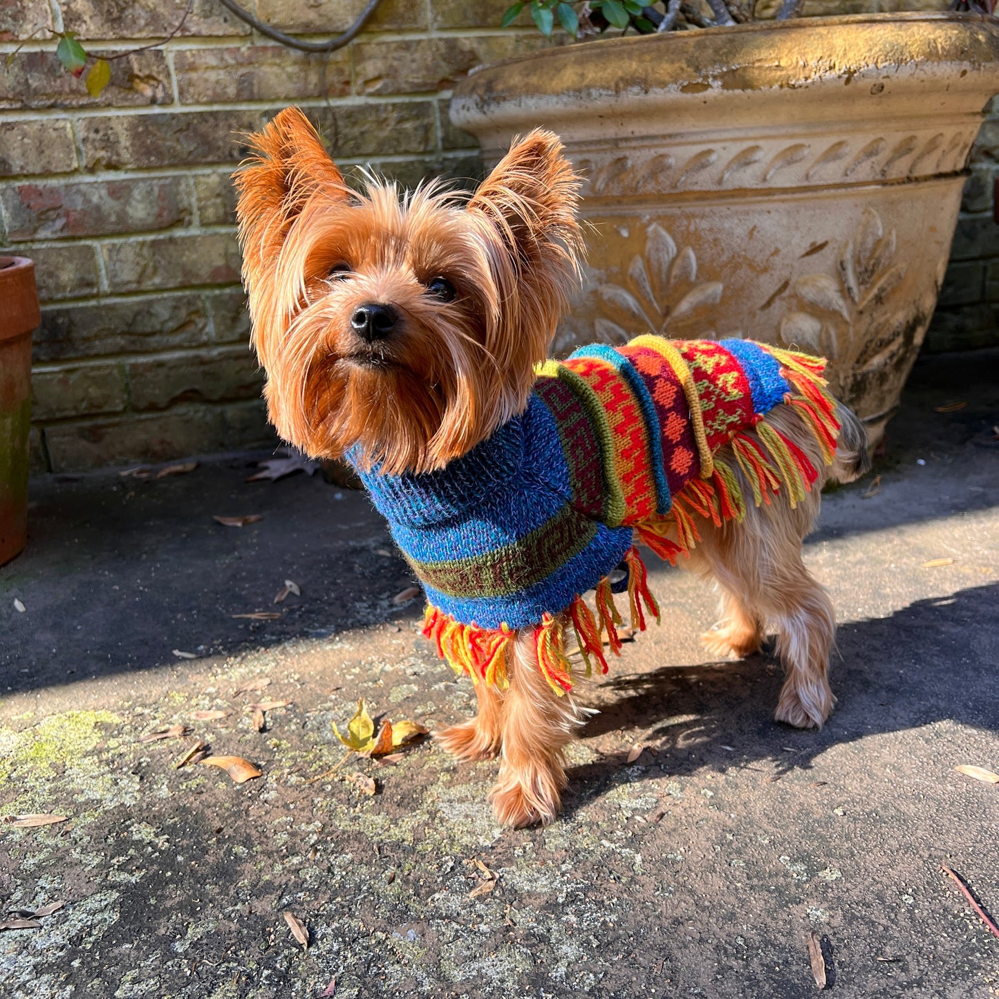 Handmade BLUE PURPLE TWEED Alpaca Dog Poncho SIZE XX0-20