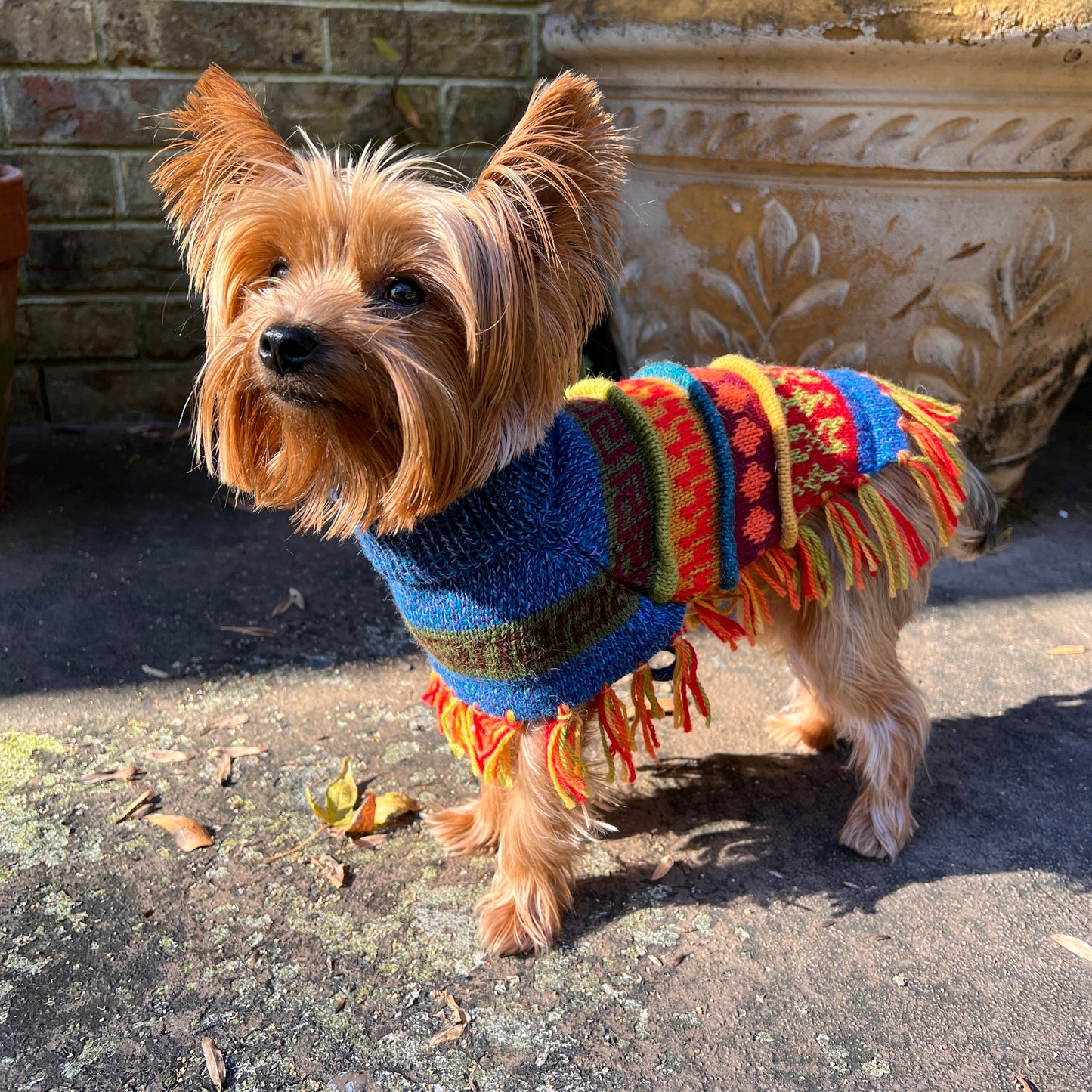 Handmade BLUE PURPLE TWEED Alpaca Dog Poncho SIZE XX0-20