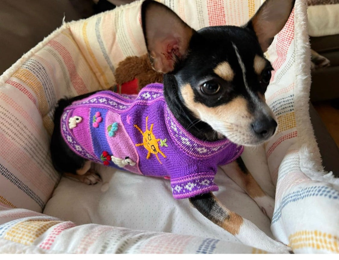 Lavender size X0 dog sweater