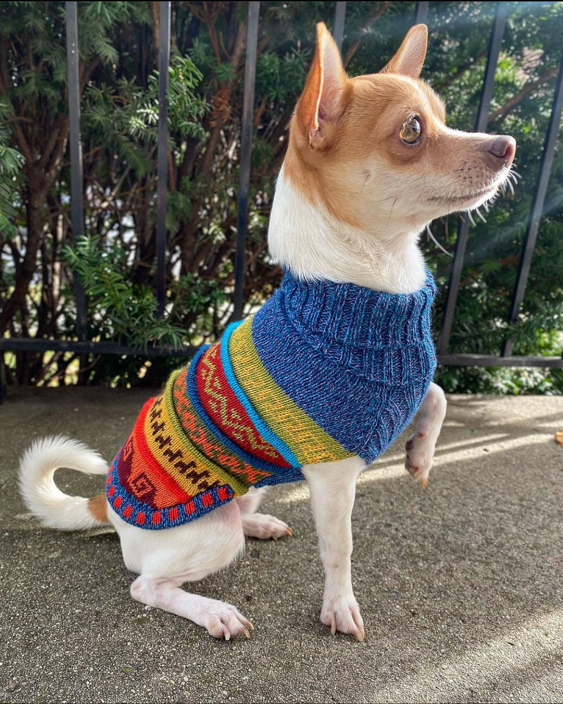 NAZCA Alpaca dog sweater BLUE PURPLE TWEED (Size XX0-8)