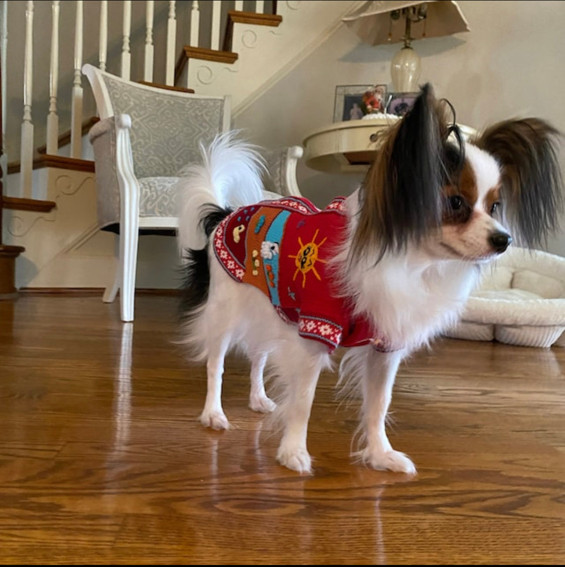 INCA RED zip up dog sweater. (sizes X0-8)