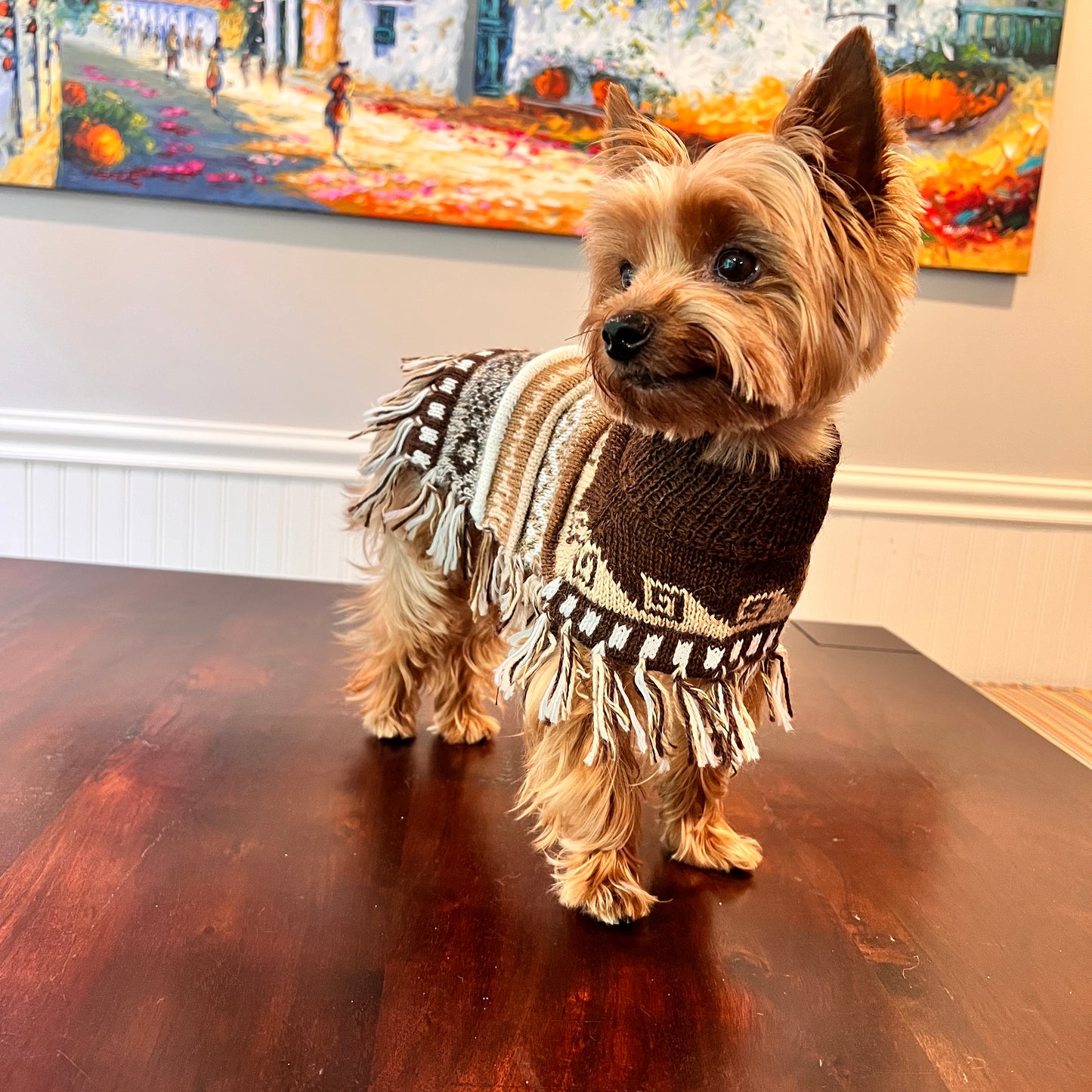 Luxury Handmade CAFE BROWN Alpaca dog PONCHO SIZE XX0-20