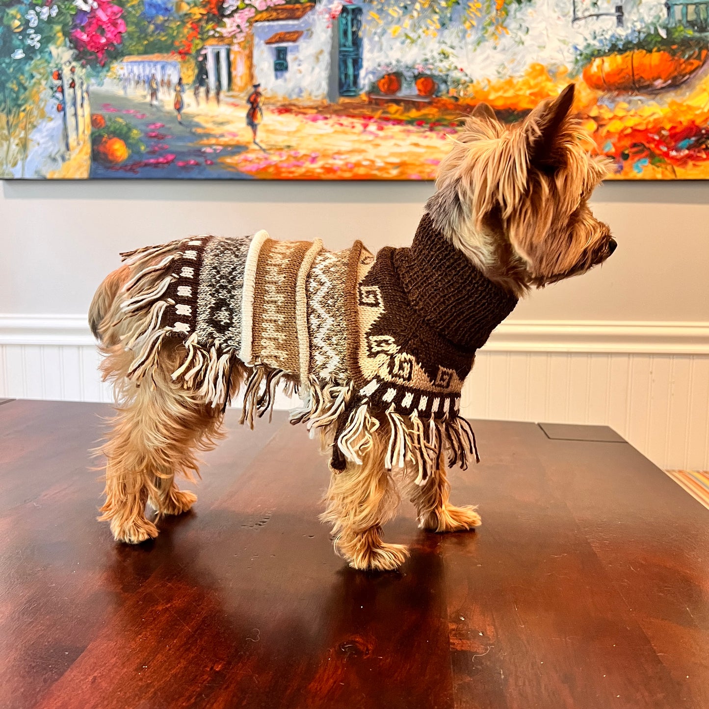 Luxury Handmade CAFE BROWN Alpaca dog PONCHO SIZE XX0-20