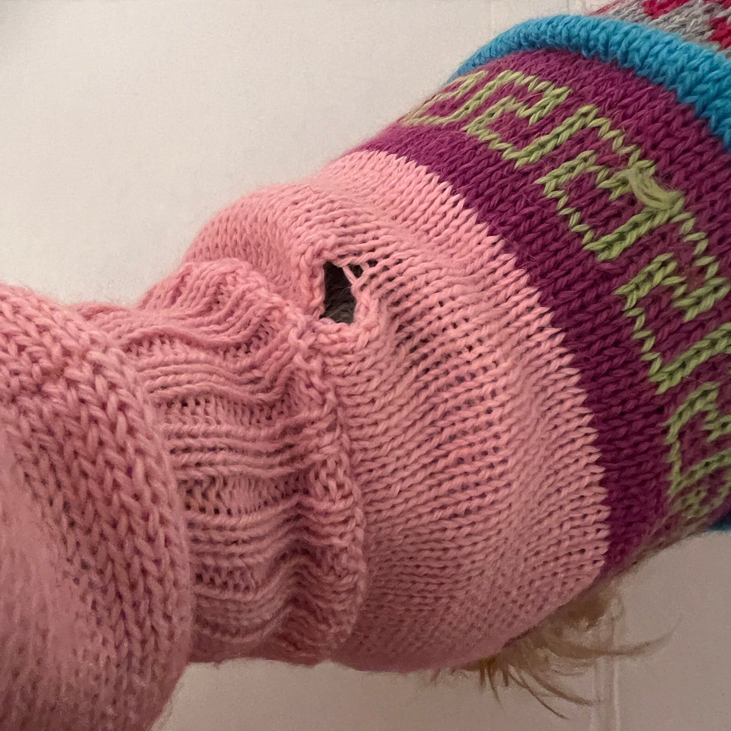 back of Baby Pink Alpaca Dog Hoodie- (Size X0-8)