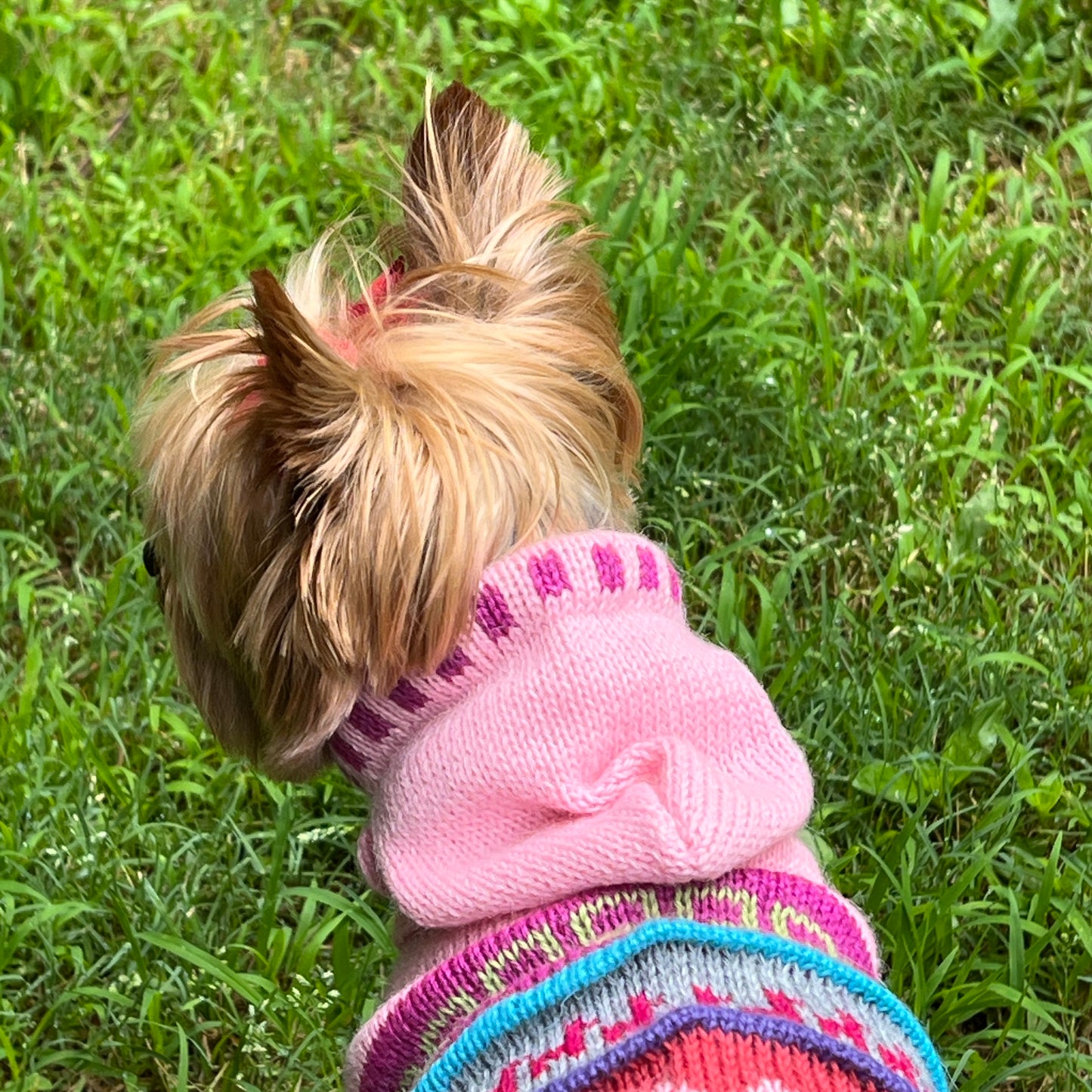 Luxury Baby Pink Alpaca Dog Hoodie- (Size X0-8)