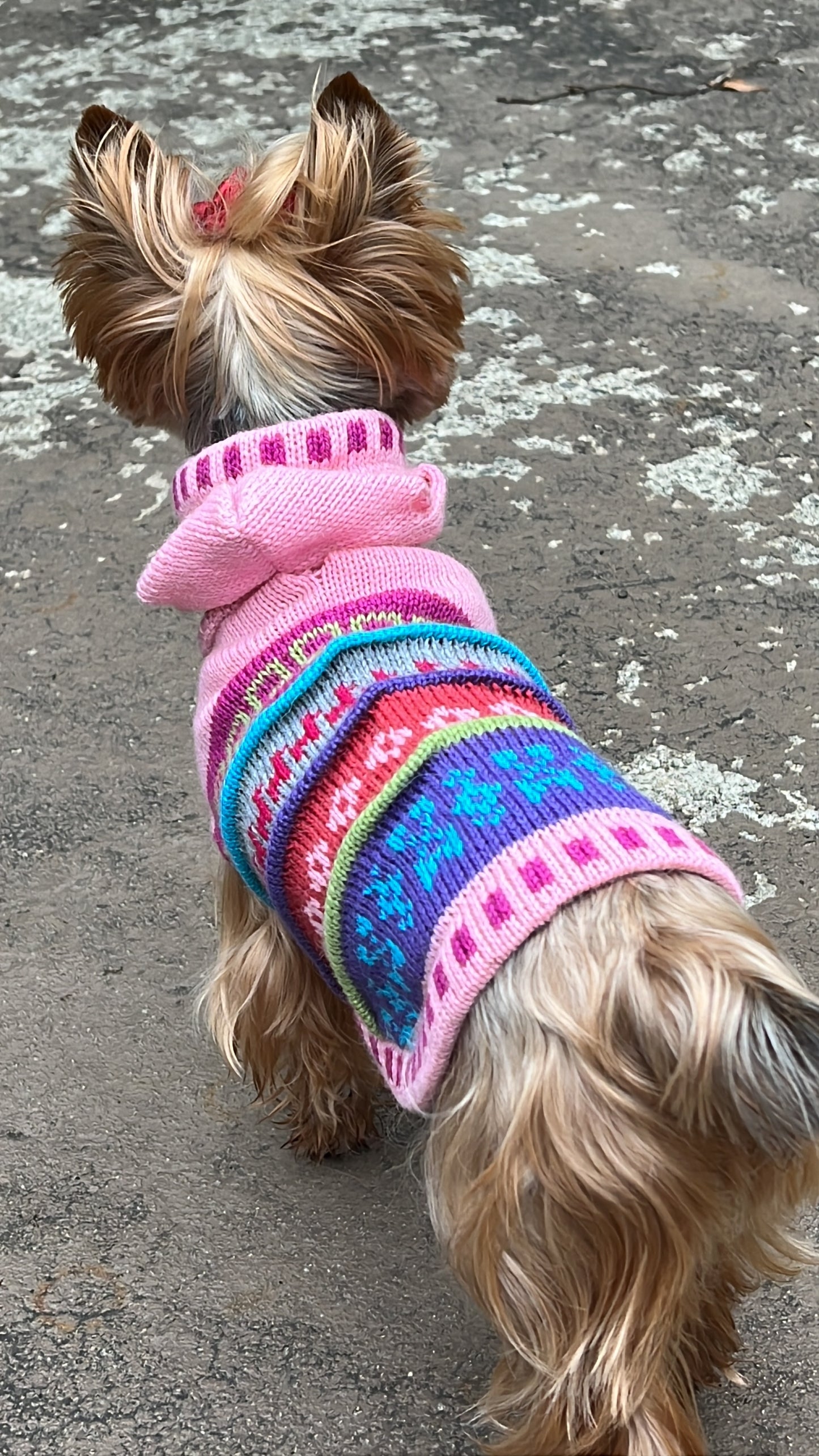 unique Baby Pink Alpaca Dog Hoodie- (Size X0-8)