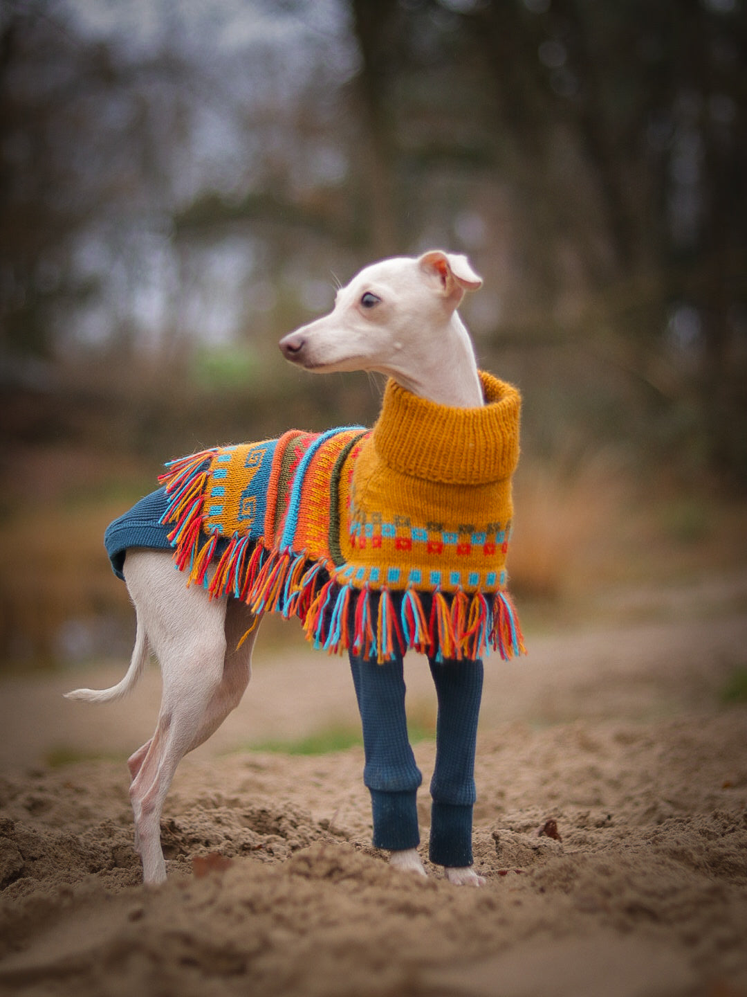 INCA GOLD Alpaca dog poncho (sizes X0-8)