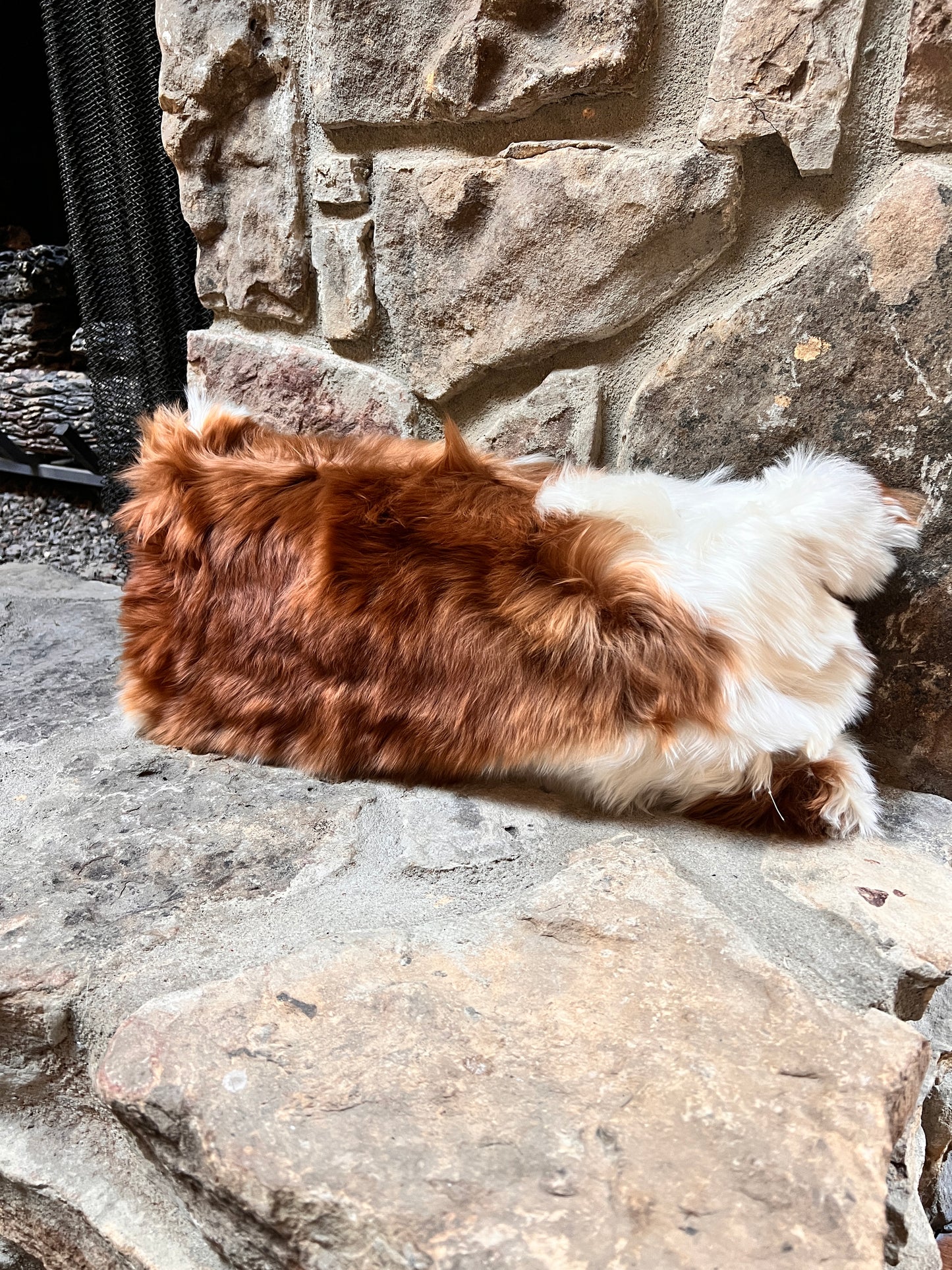 Suri Alpaca fur LUMBAR pillow.