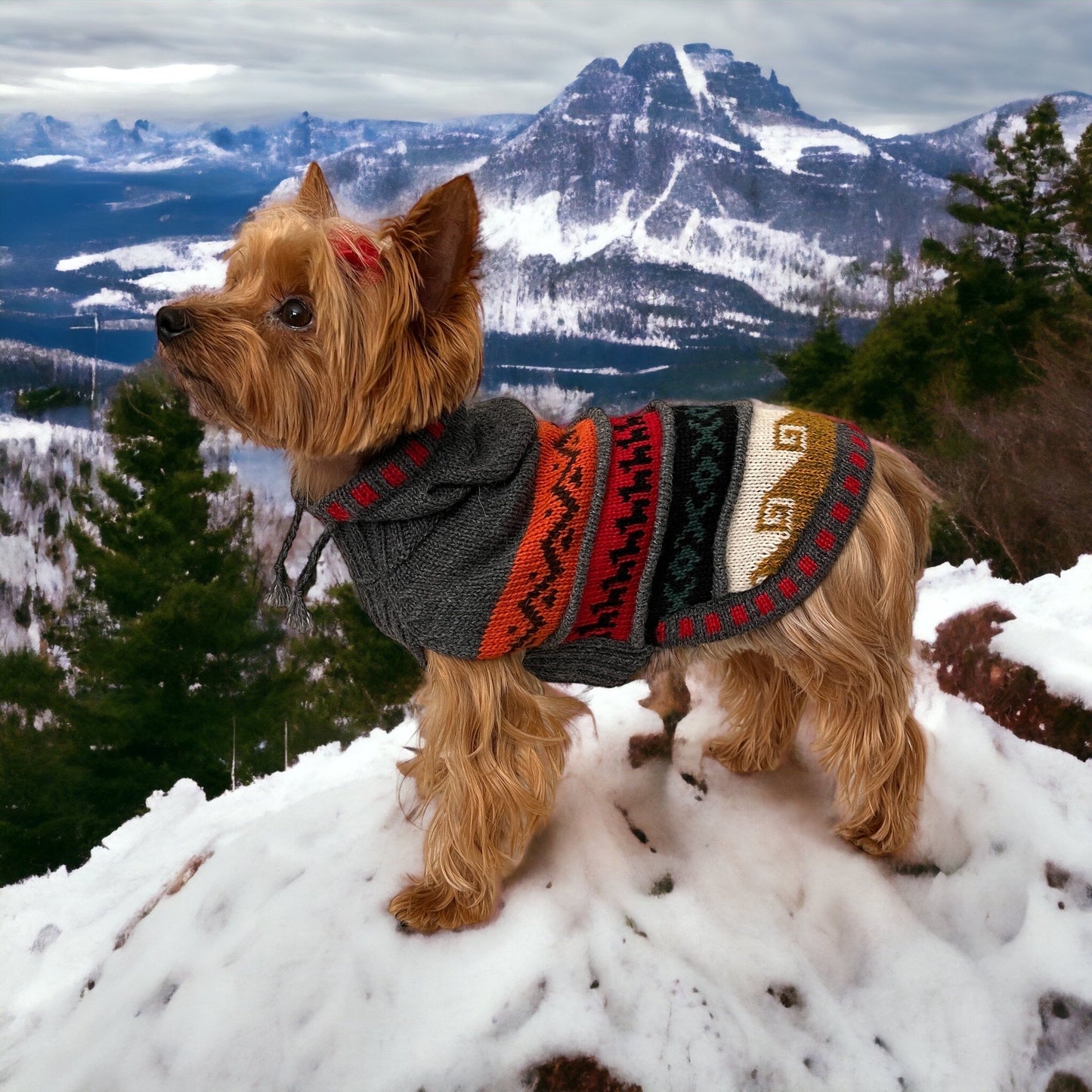 Luxury Oxford Gray Alpaca Dog HOODIE- (Size X0-8)