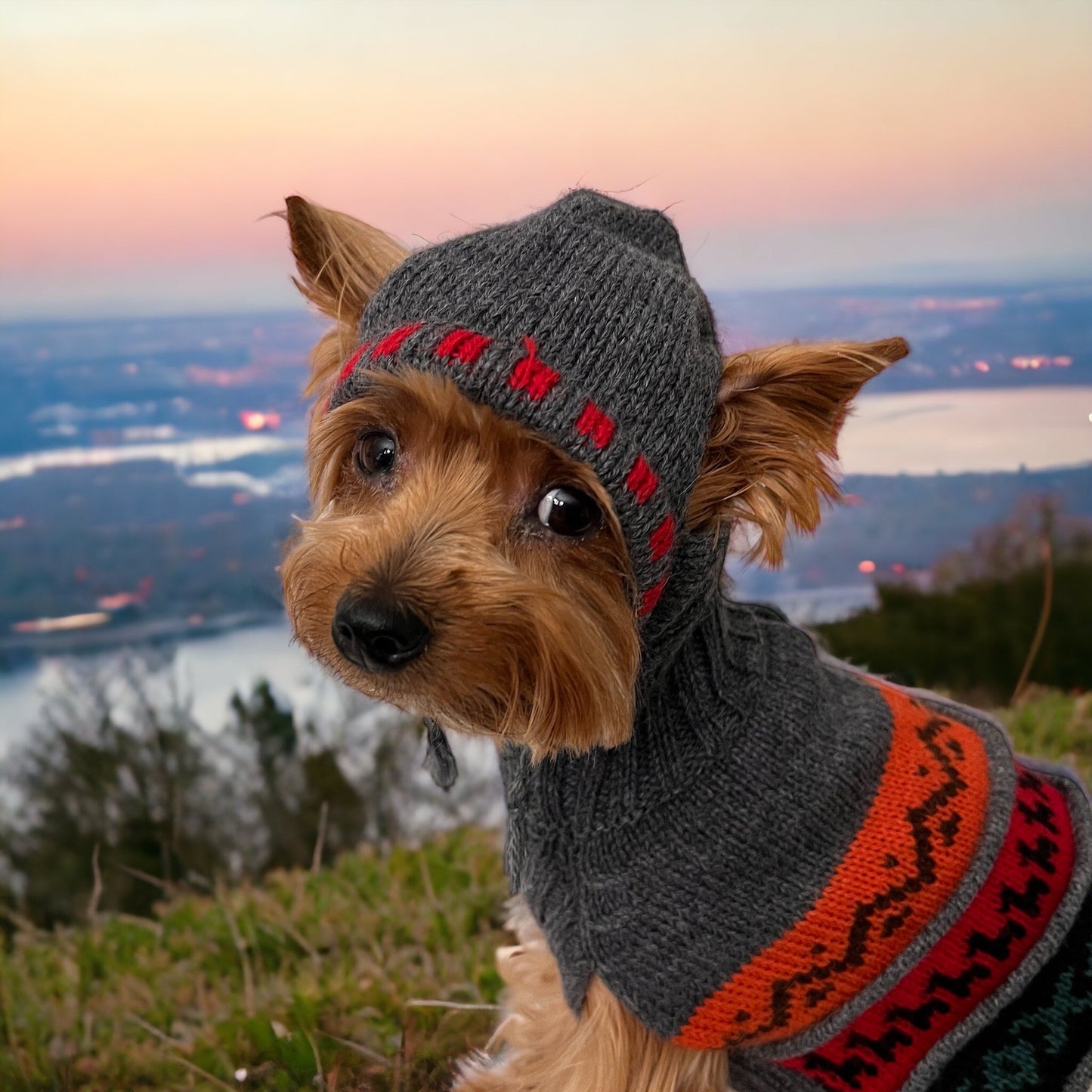 handmade Oxford Gray Alpaca Dog HOODIE- (Size X0-8)