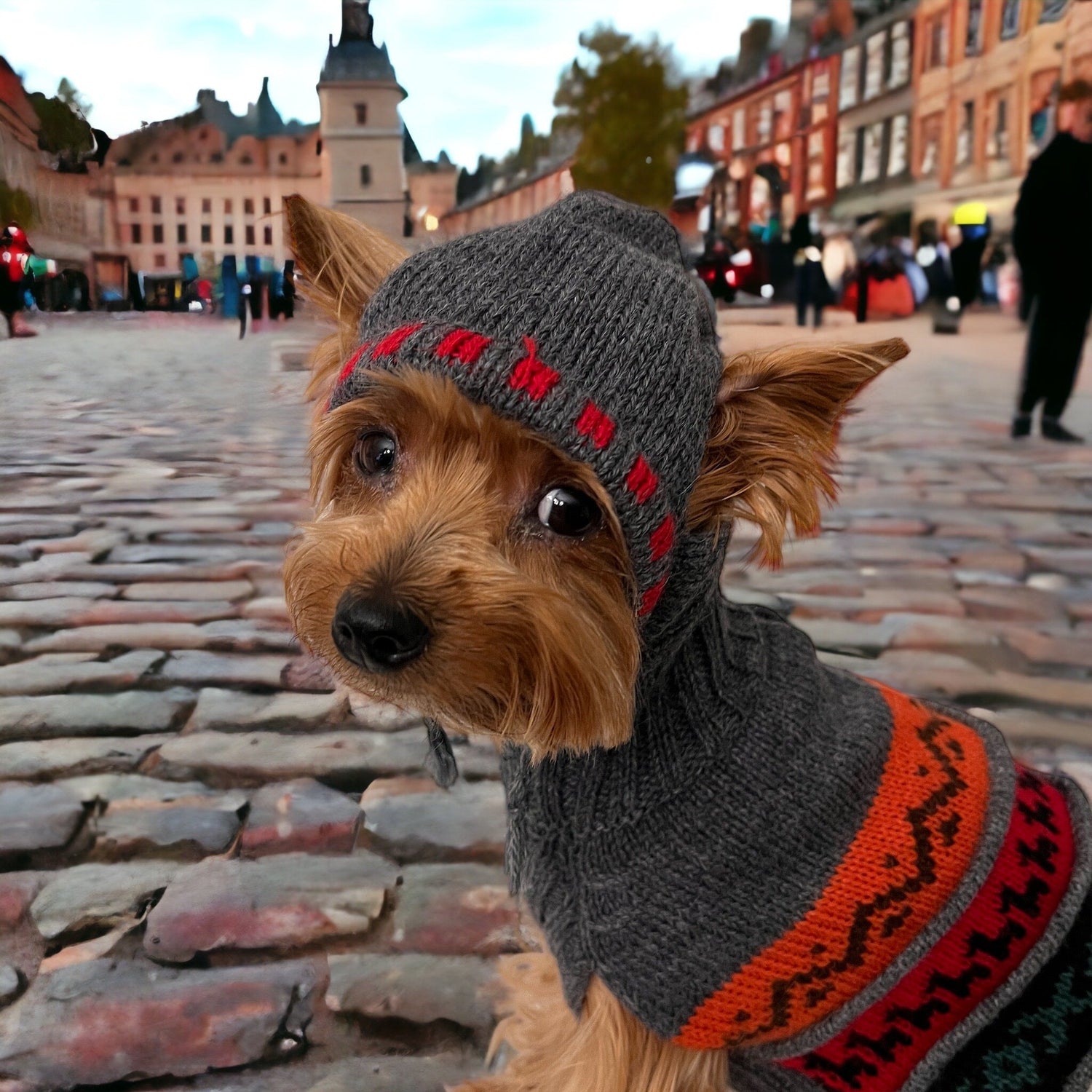 Handmade Oxford Gray Alpaca Dog HOODIE- (Size X0-8)