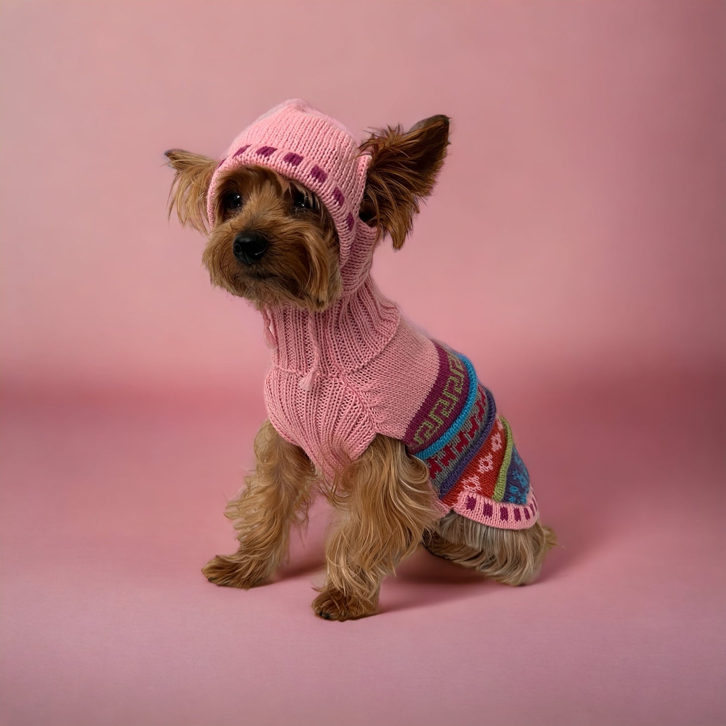Yorkie in a Baby Pink Alpaca Dog Hoodie- (Size X0-8)