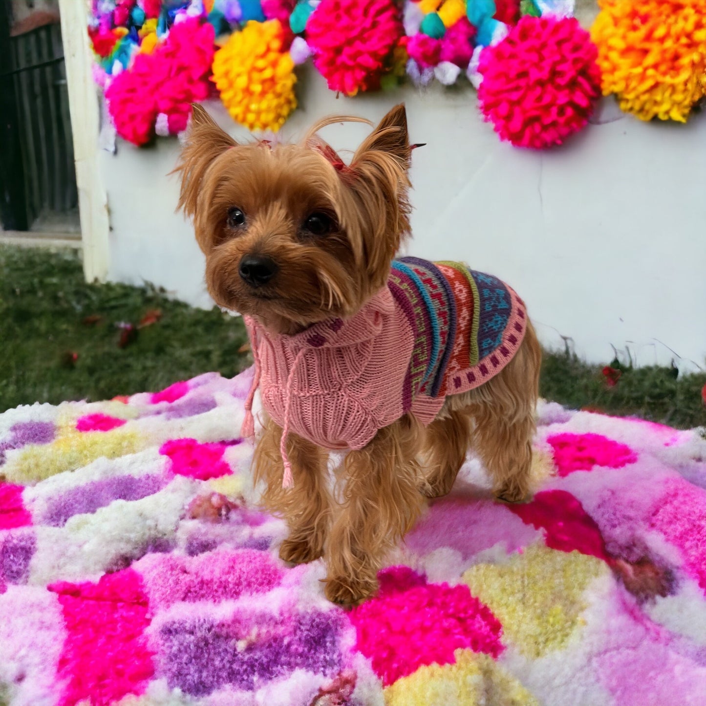 handmade Baby Pink Alpaca Dog Hoodie- (Size X0-8)