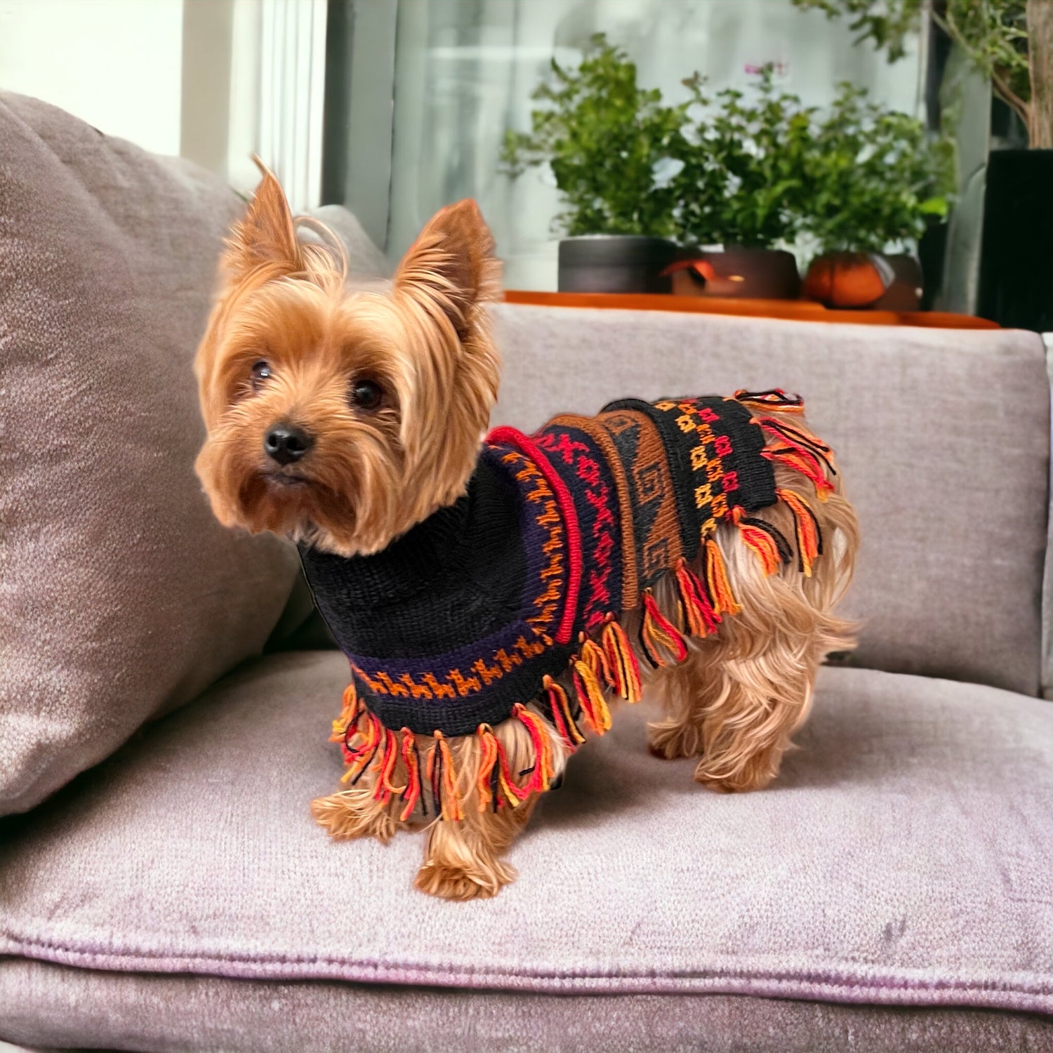 hypoallergenic Luxury HARLEY Alpaca dog poncho (sizes X0-20)