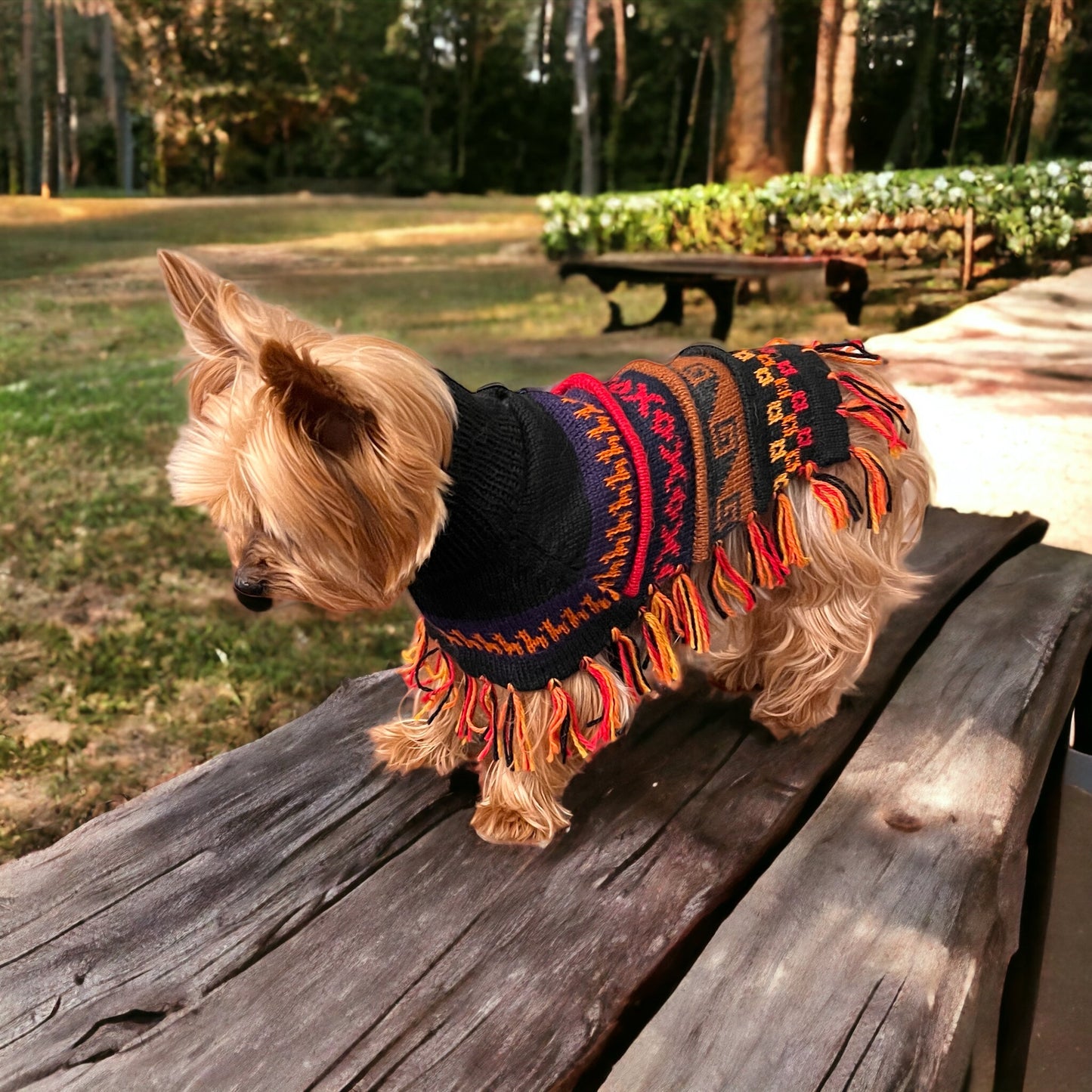 Hypoallergenic Luxury HARLEY Alpaca dog poncho (sizes X0-20)