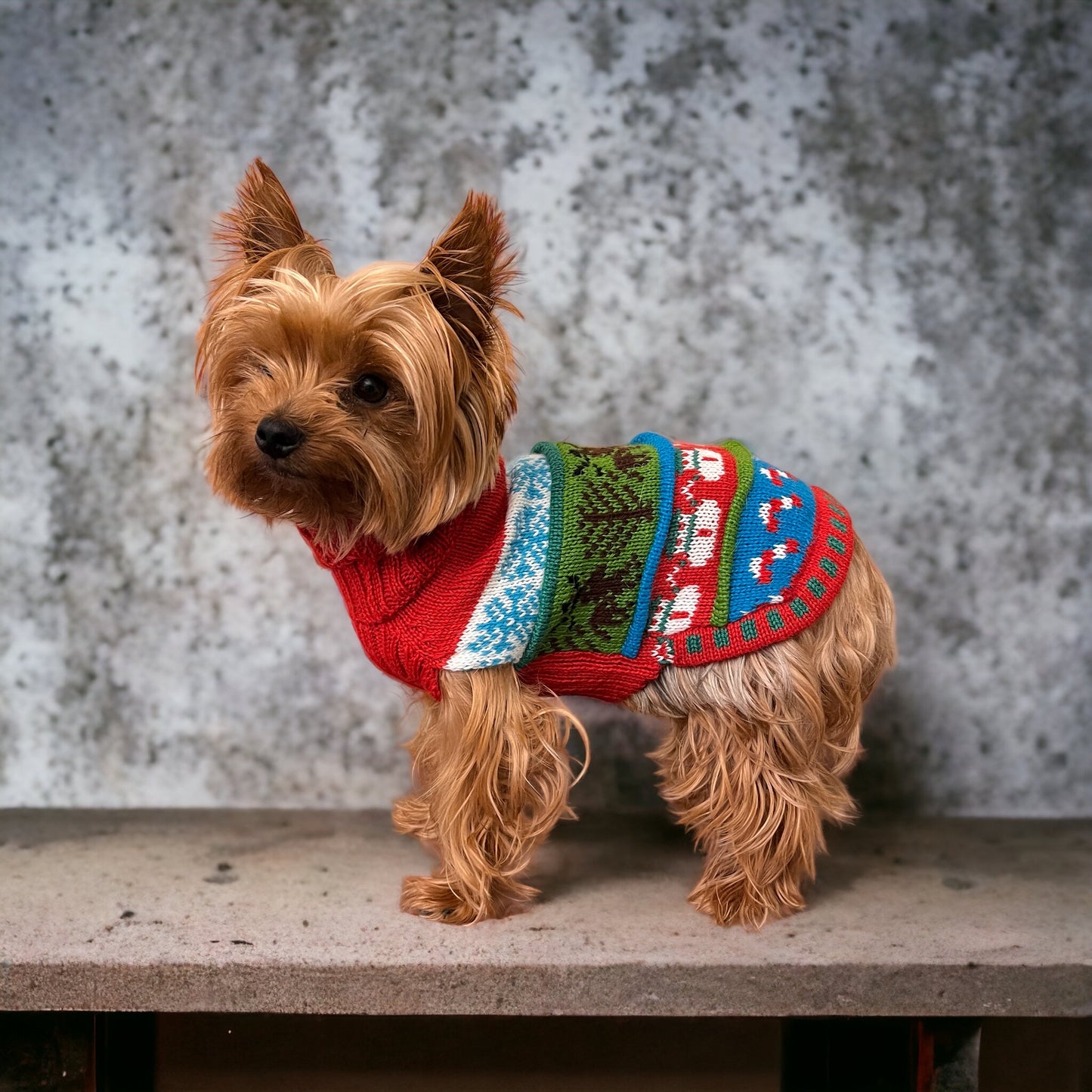 Nazca WINTER WONDERS Doggie Sweater. Special Edition Made of Alpaca
