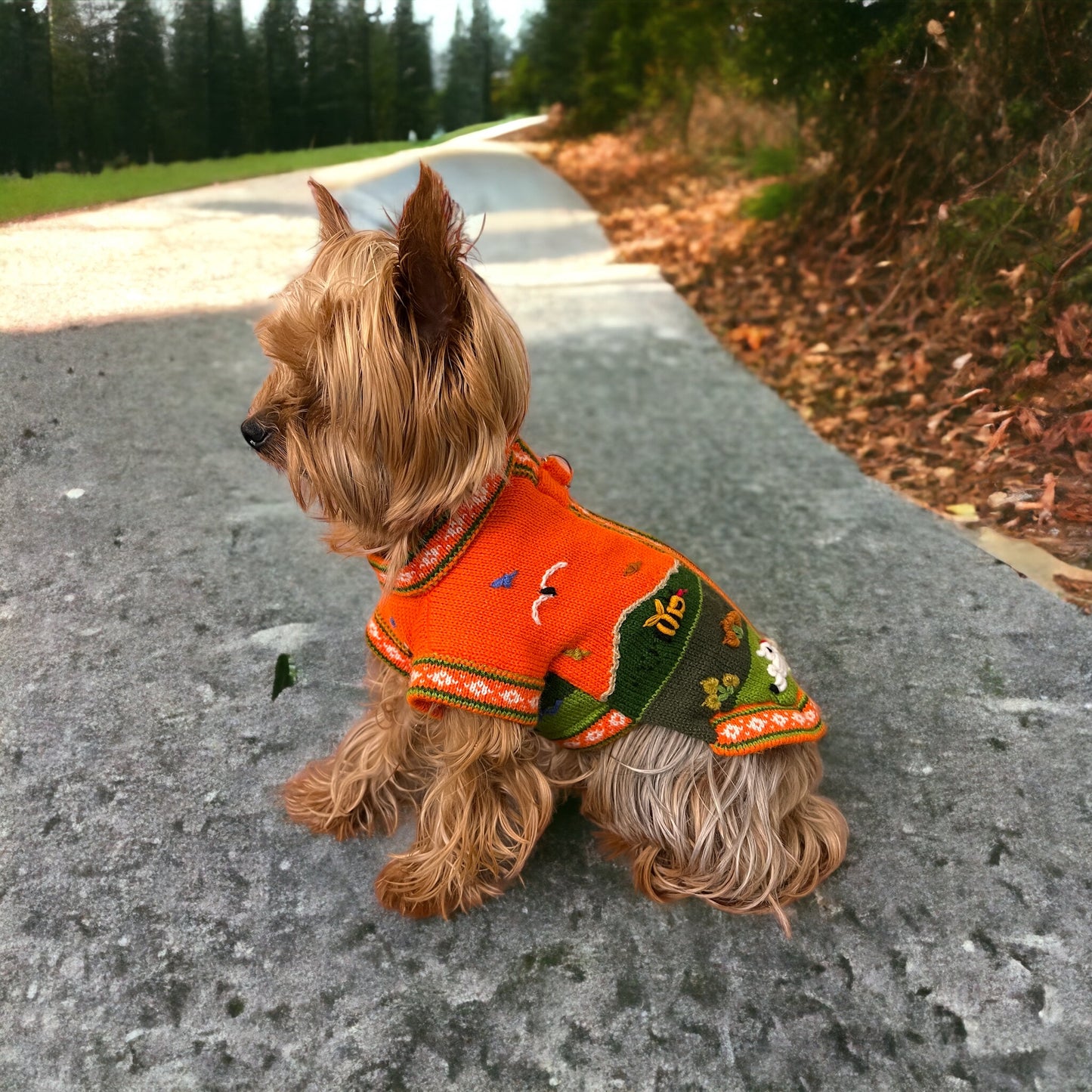 PUMPKIN SPICE Doggie Sweater Handmade Zip Up The Back Design.