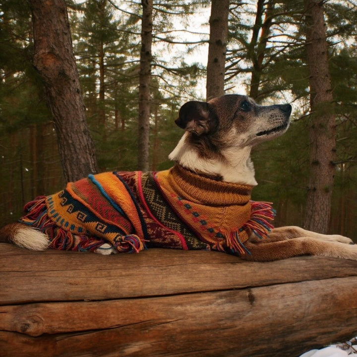 INCA GOLD Alpaca dog poncho (sizes X0-8)