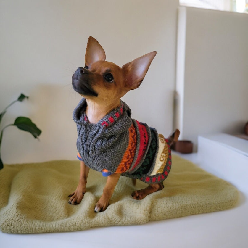 Oxford Gray Alpaca Dog HOODIE- (Size X0-8)