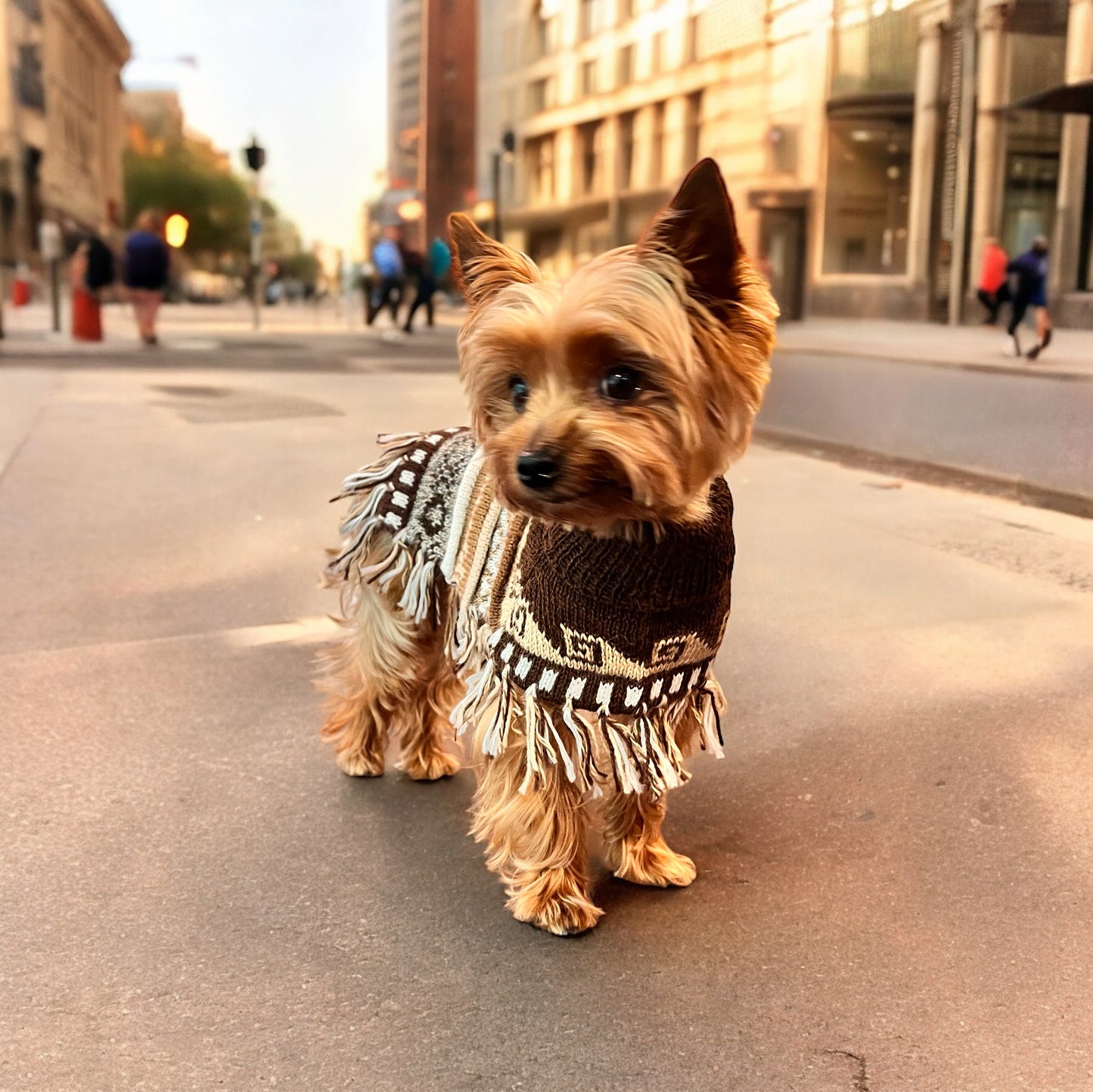 Luxury Handmade CAFE BROWN Alpaca dog PONCHO SIZE XX0-20