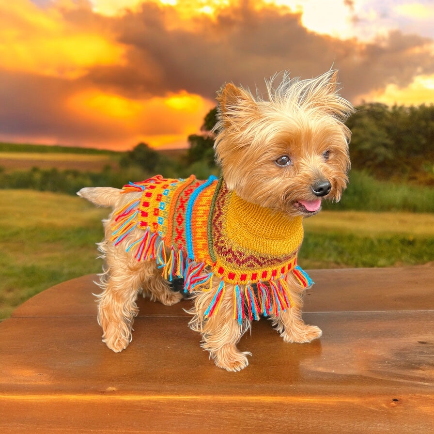 INCA GOLD Alpaca dog poncho (sizes X0-8)