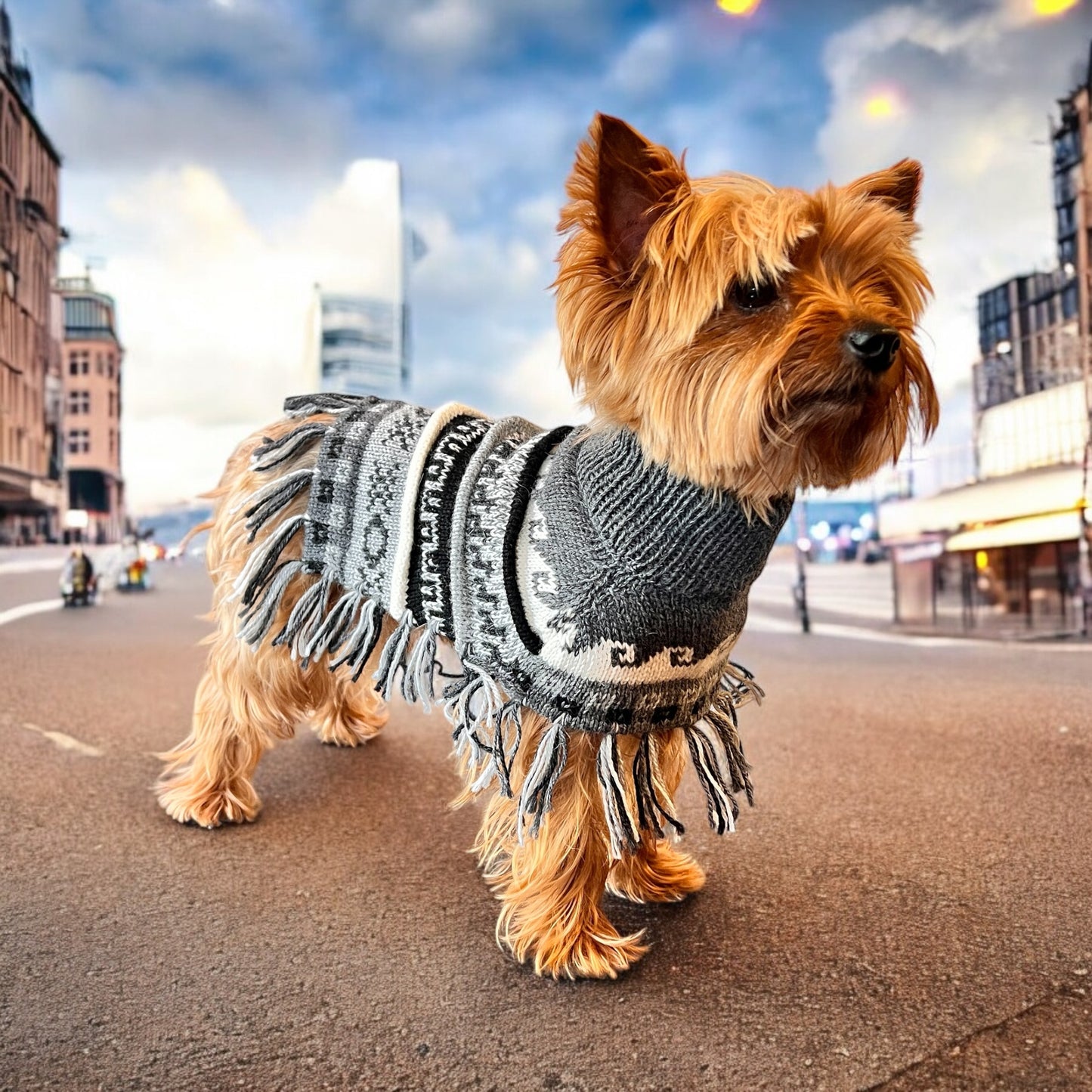 MACHU MIST (Charcoal) Alpaca dog poncho (sizes X0-8)