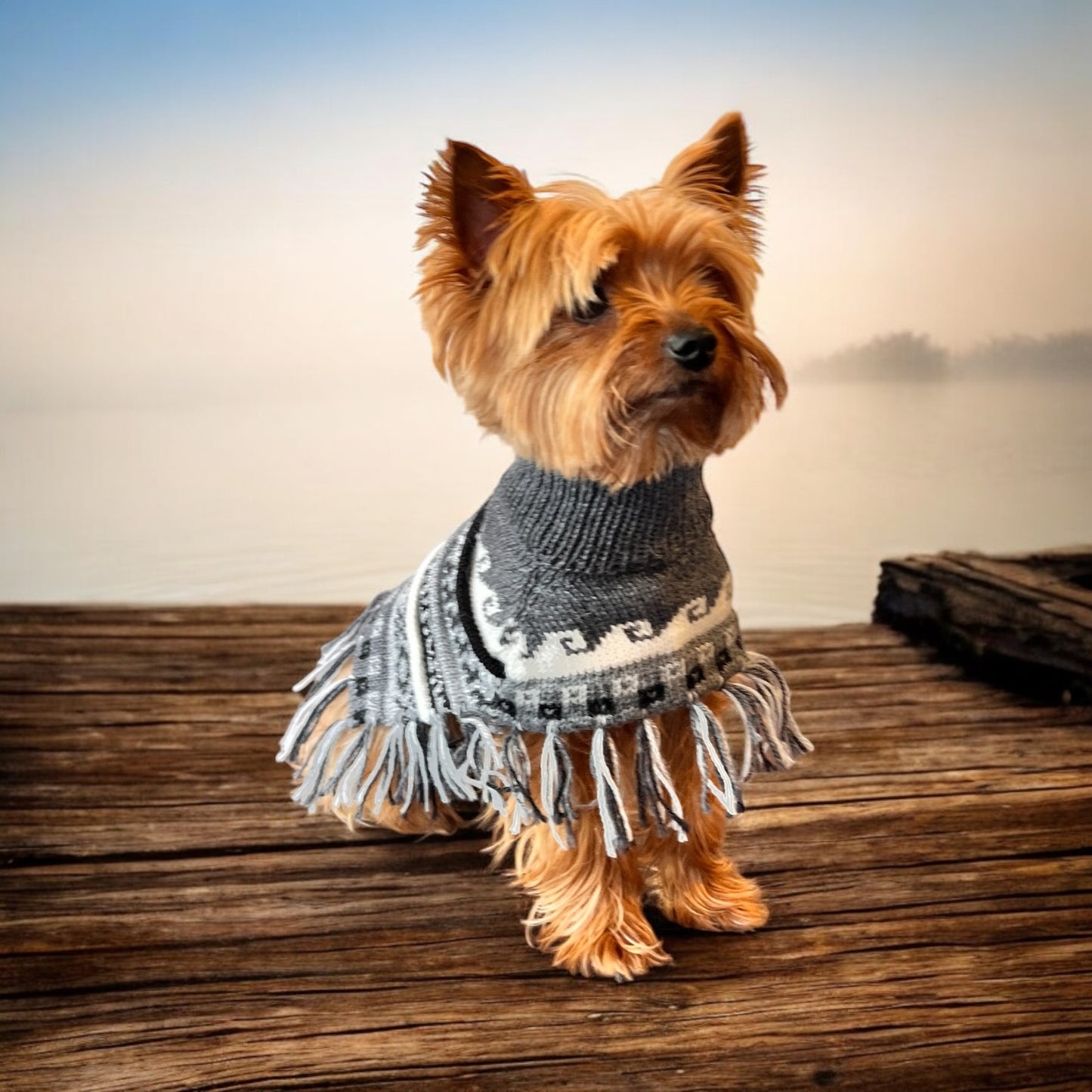 MACHU MIST (Charcoal) Alpaca dog poncho (sizes X0-8)