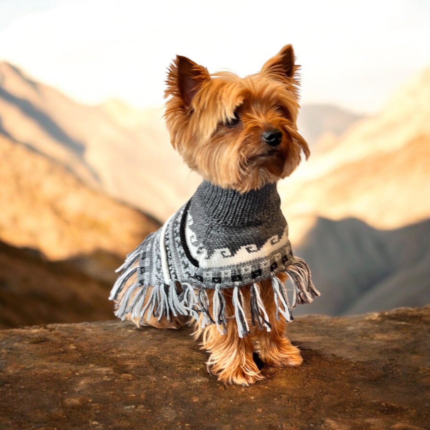 MACHU MIST (Charcoal) Alpaca dog poncho (sizes X0-8)