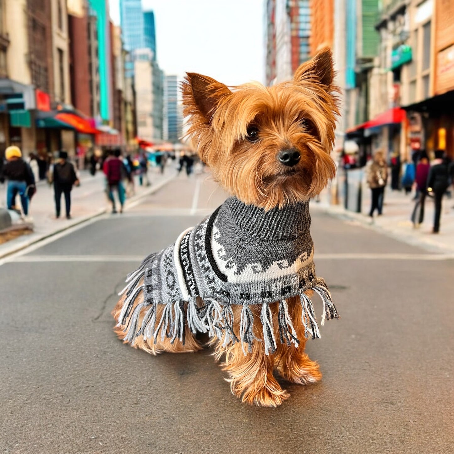 MACHU MIST (Charcoal) Alpaca dog poncho (sizes X0-8)