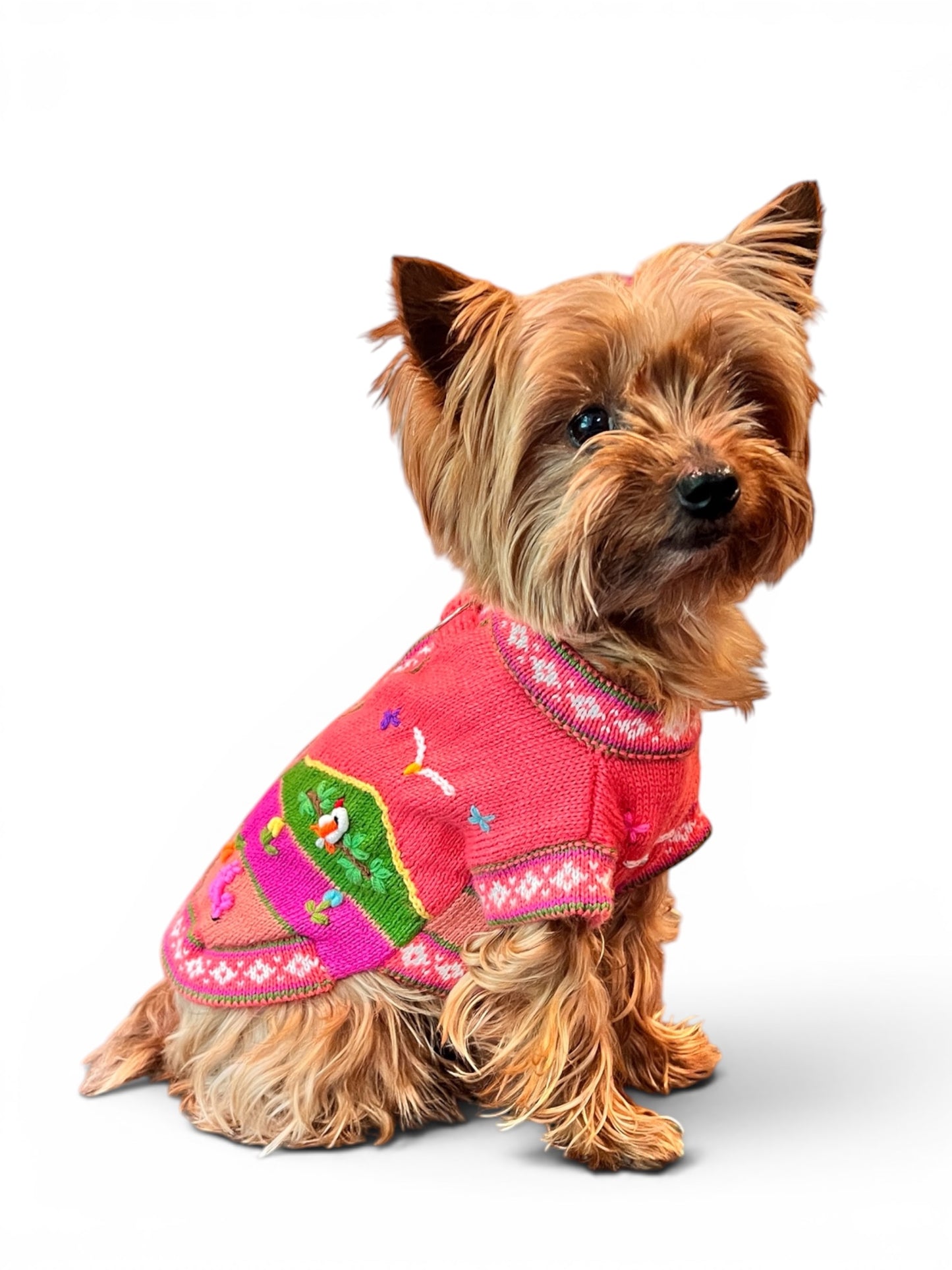 Luxury Coral Pink Handmade Dog Sweater | Artisan Peruvian Dog Clothes for Yorkies, Small & Medium Dogs (sizes XX0-14)