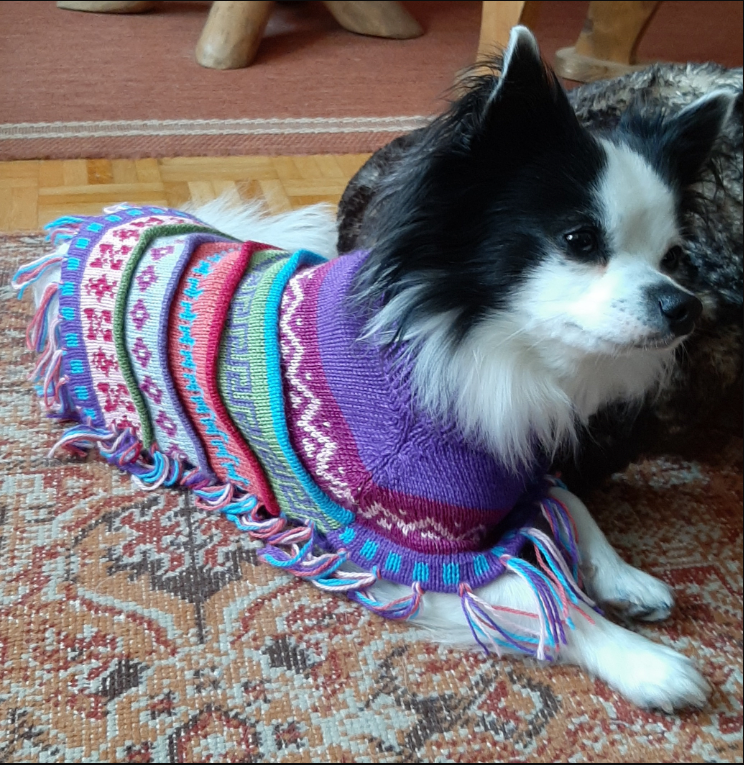 ROYAL PURPLE Alpaca dog poncho (sizes XX0-8)