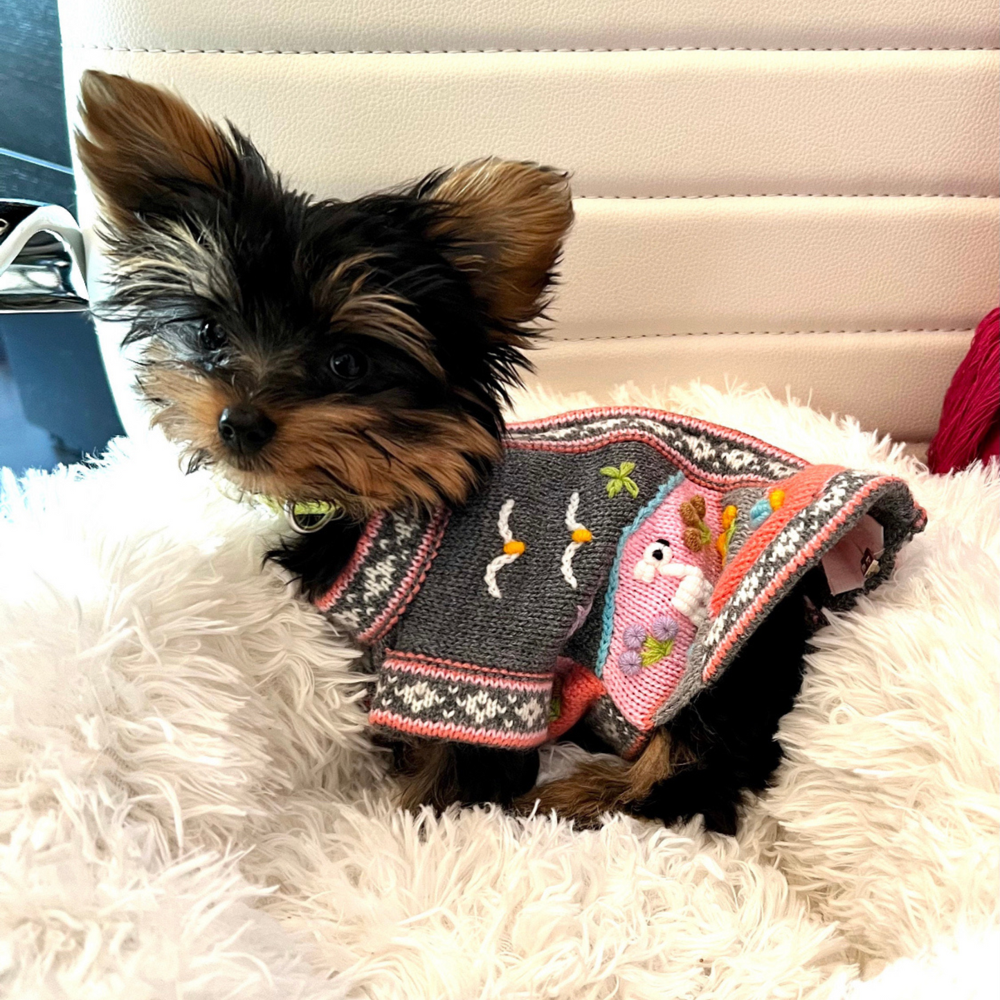 Gray and Pink Dog Sweater (SIZES XX0-14)