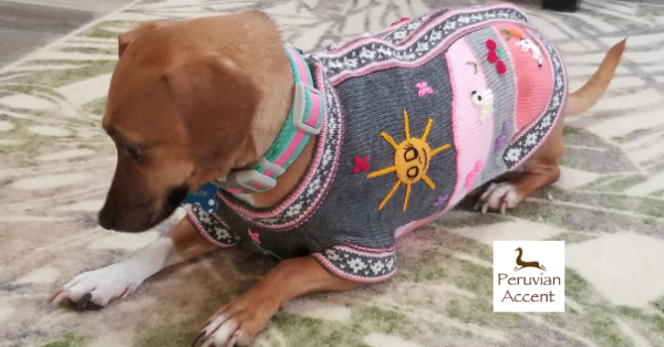 Gray and Pink Dog Sweater (SIZES XX0-14)