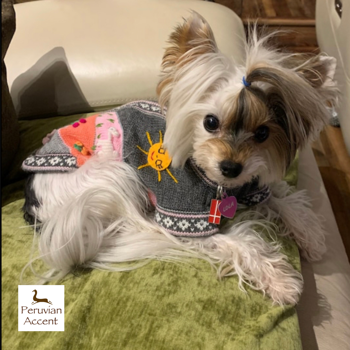 Gray and Pink Dog Sweater (SIZES XX0-14)