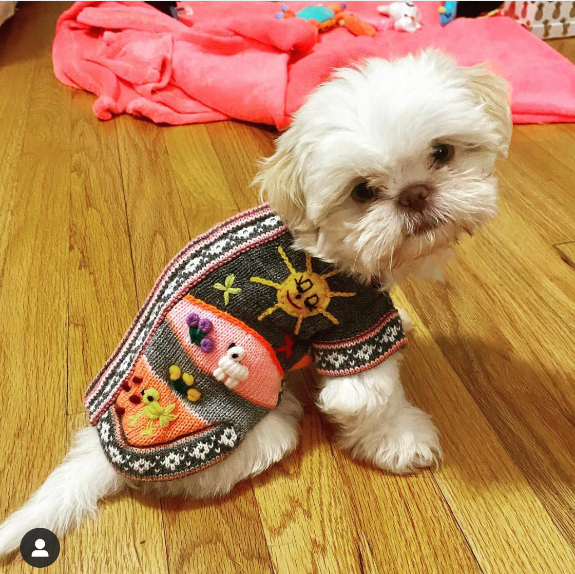 Gray and Pink Dog Sweater (SIZES XX0-14)