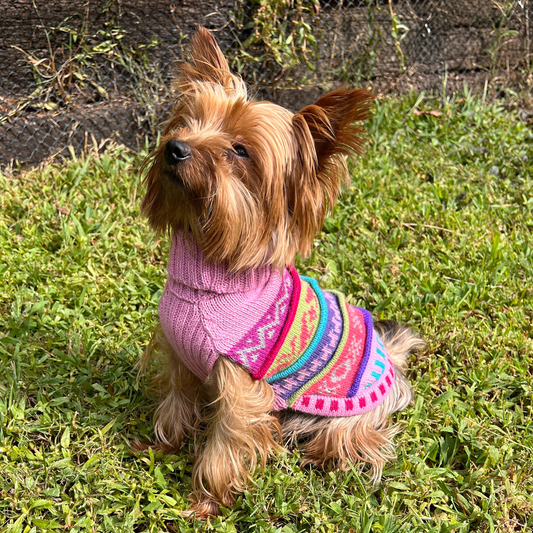 baby pink Peruvian NAZCA Alpaca dog sweater. (Size XX0-4)