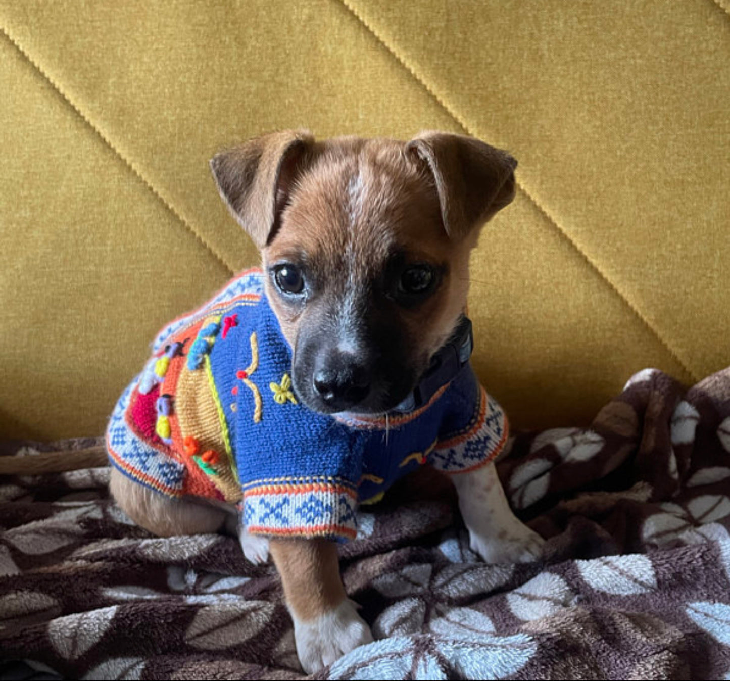 steel blue size X0 handmade sweater for teacups or puppies.