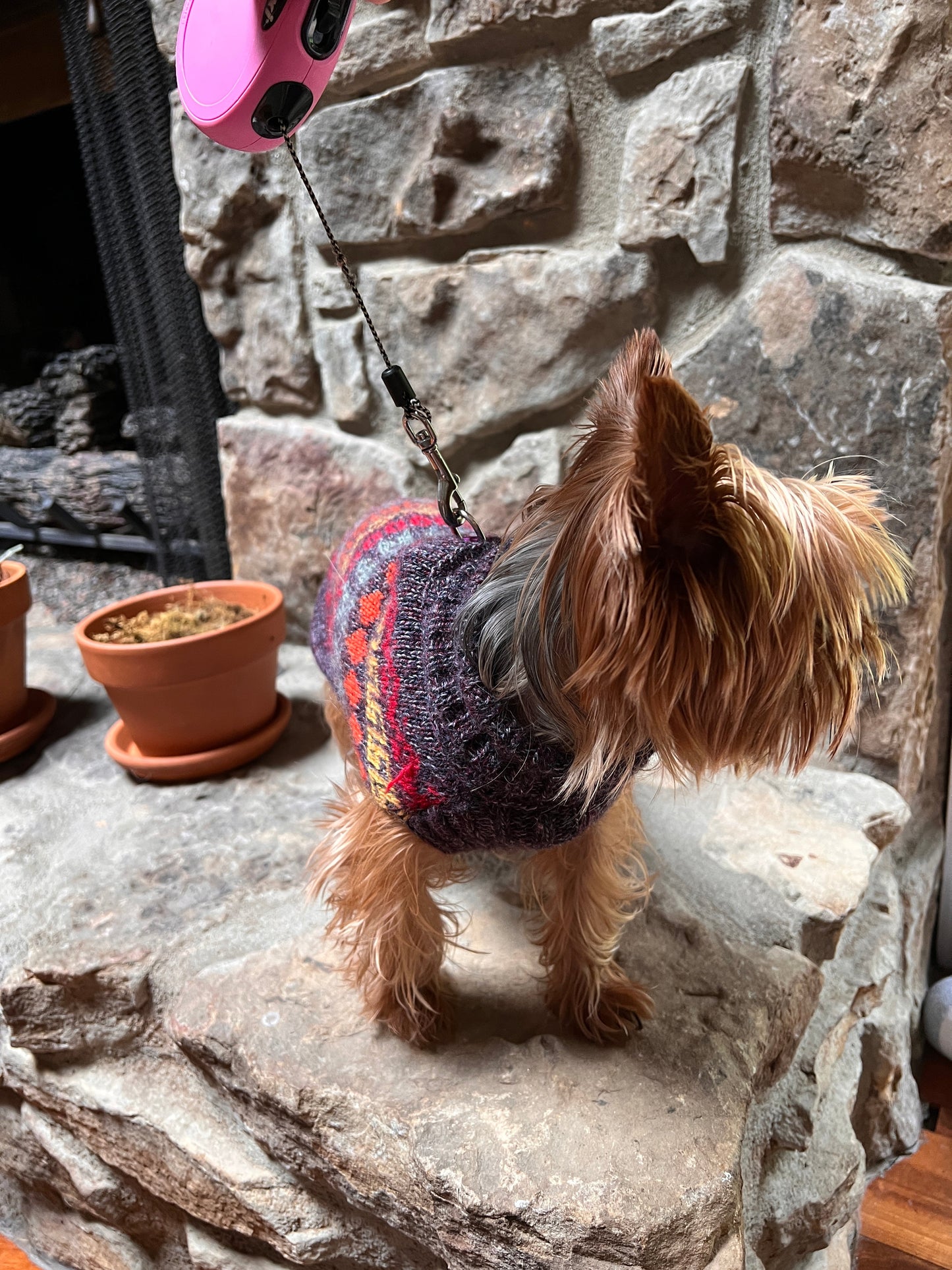 small dog Peruvian NAZCA Alpaca dog sweater. (Size XX0-4)